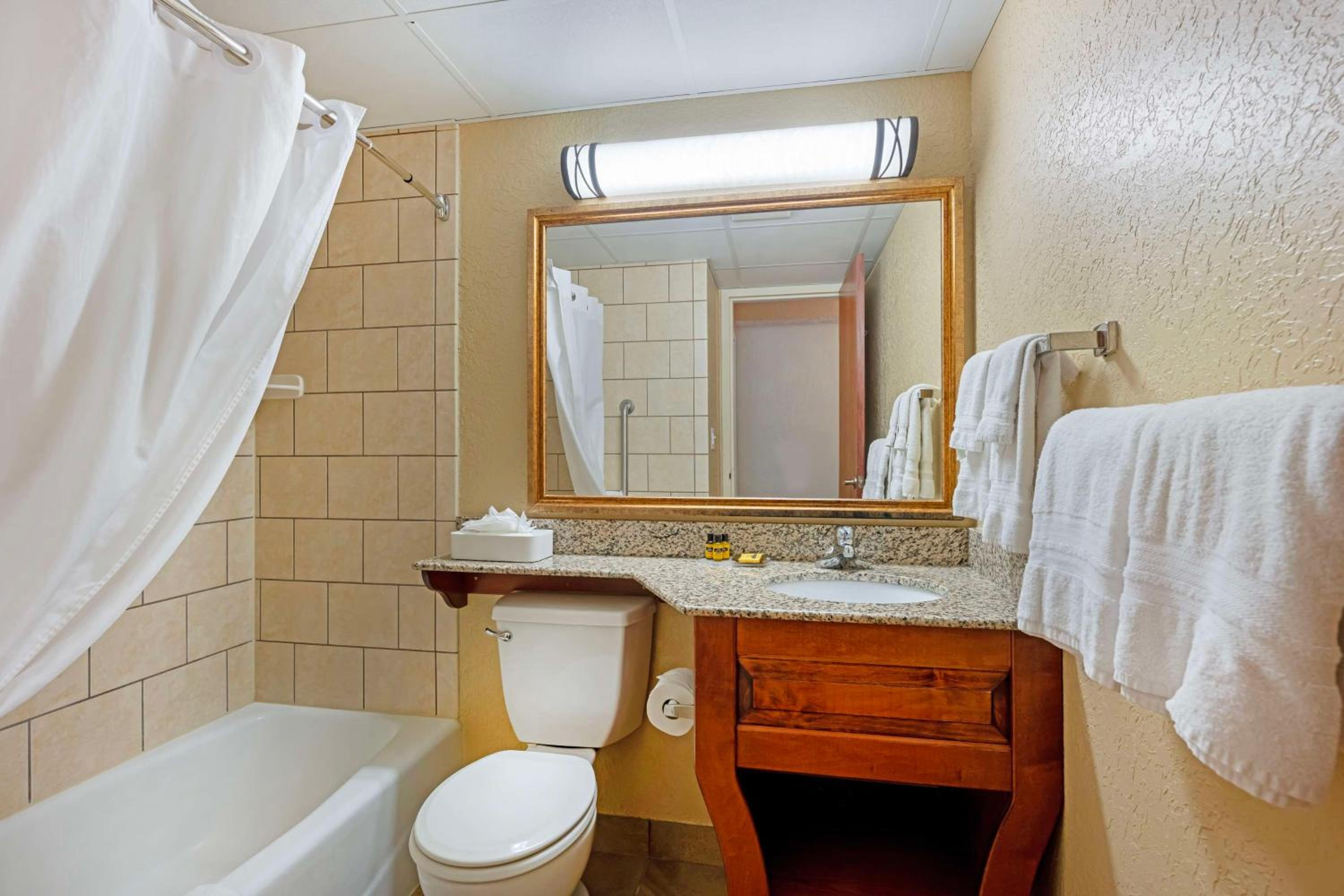 King Suite with Sofa Bed photo 2
