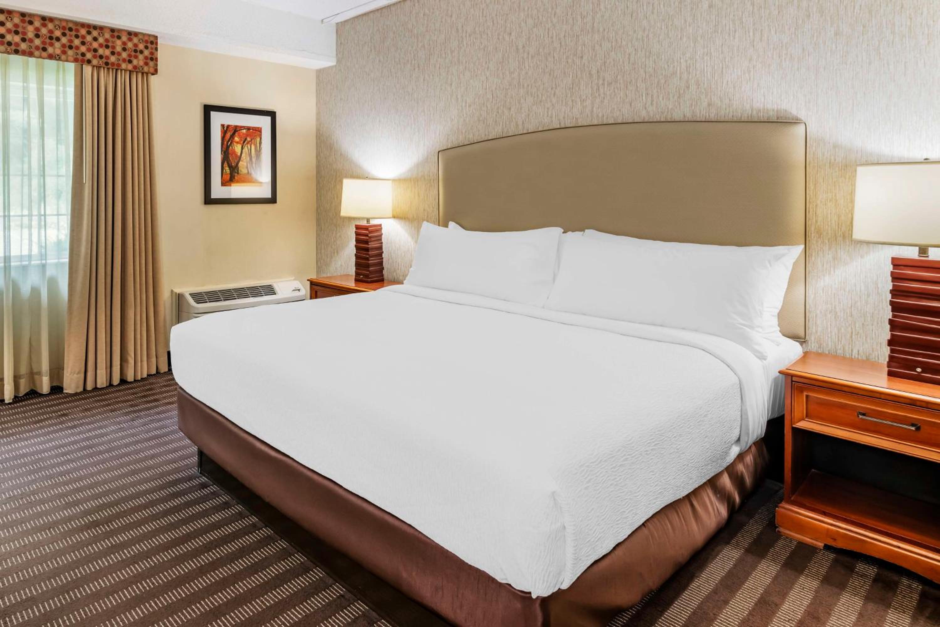 King Room - Non-Smoking - Photo 3