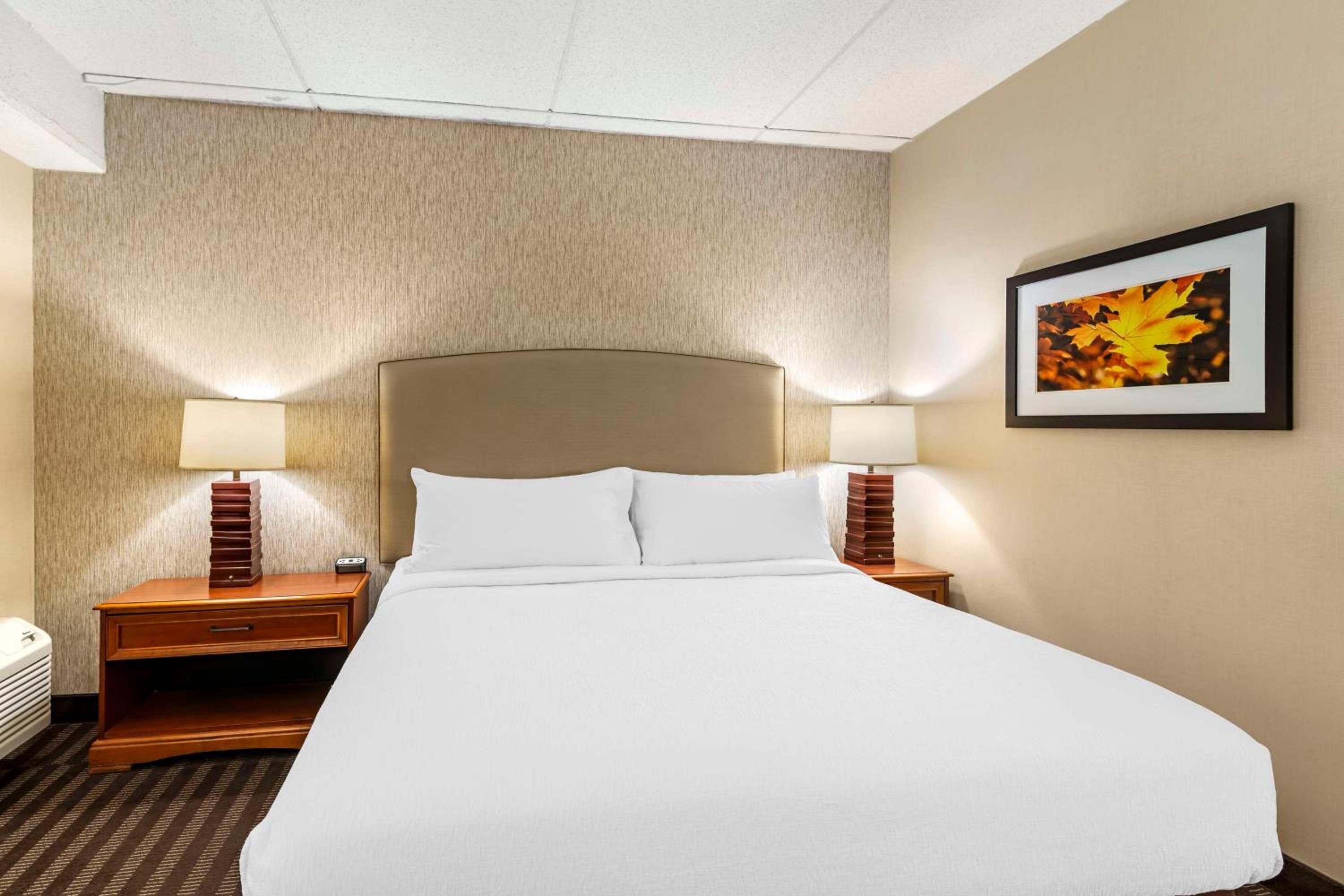 King Room - Non-Smoking - Photo 4