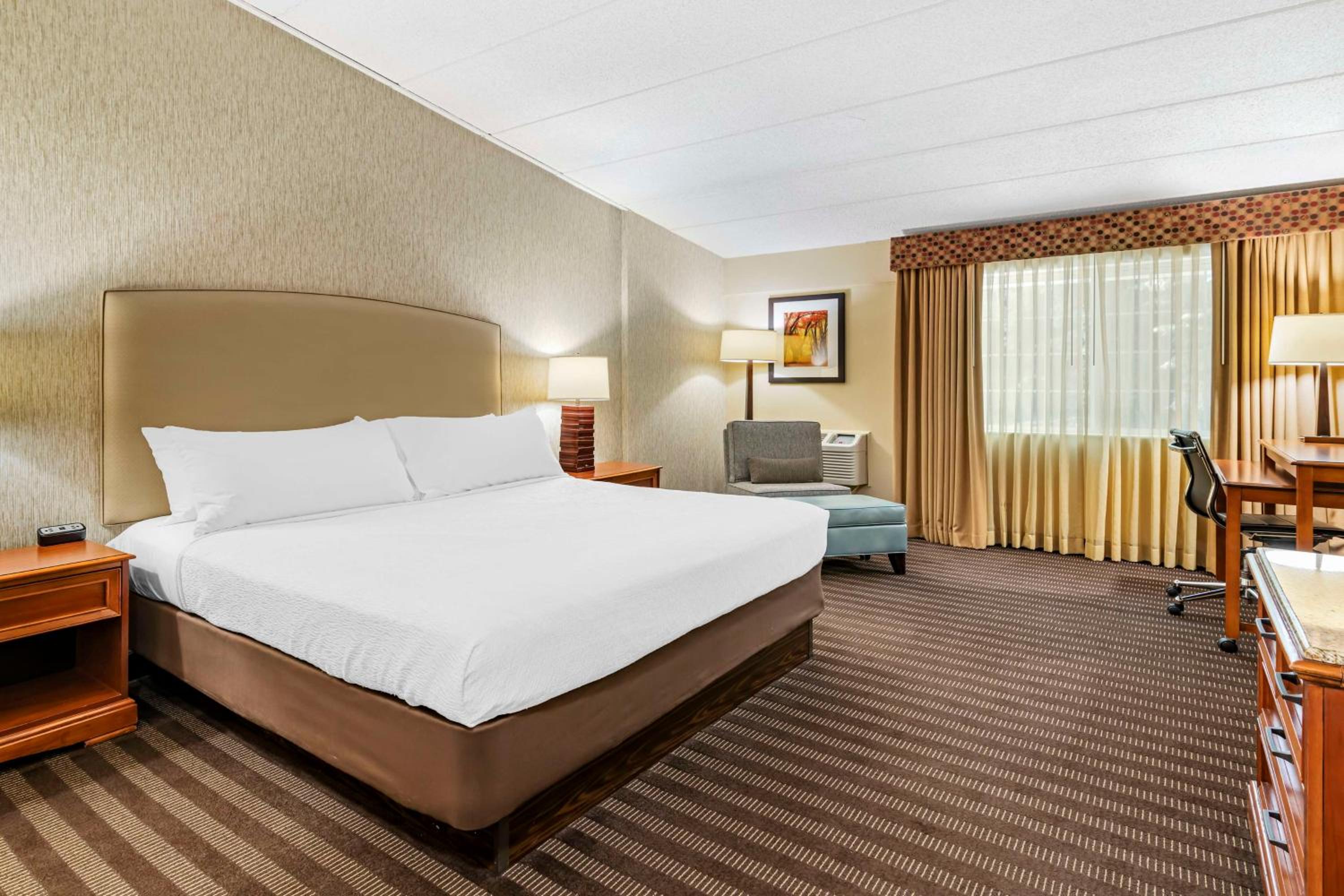 Large King Room - Non-Smoking - Photo 4