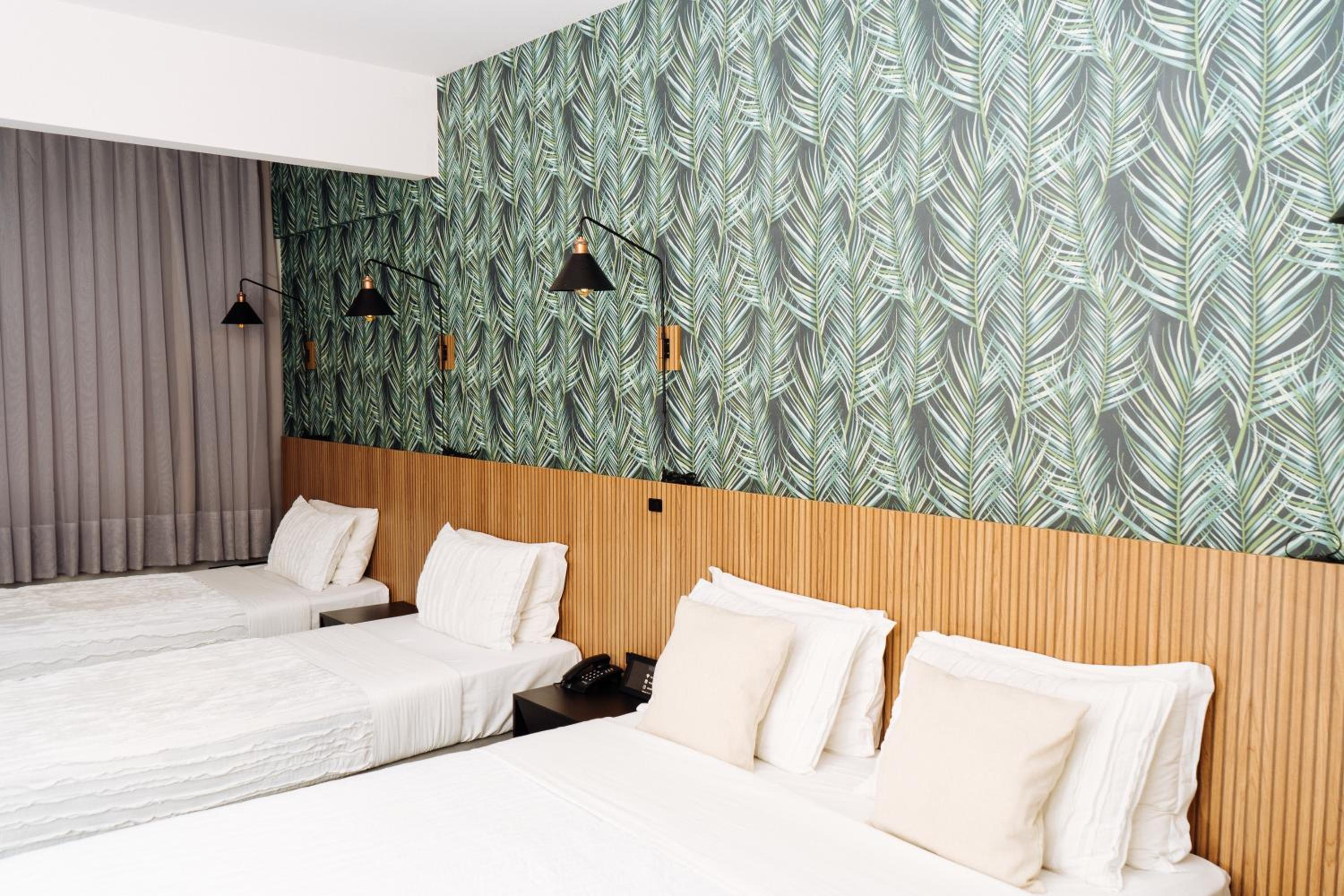 Standard Suite photo 1