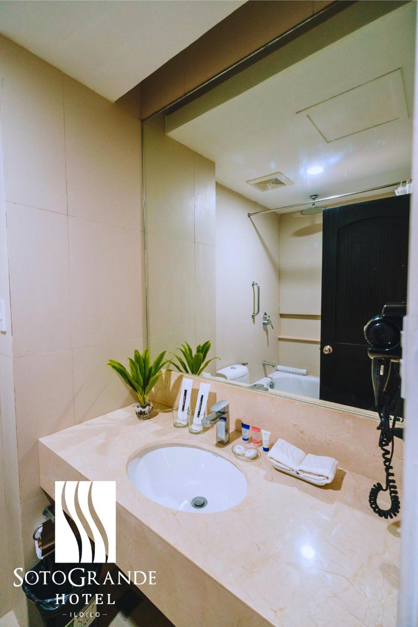 Deluxe Double or Twin Room photo 2