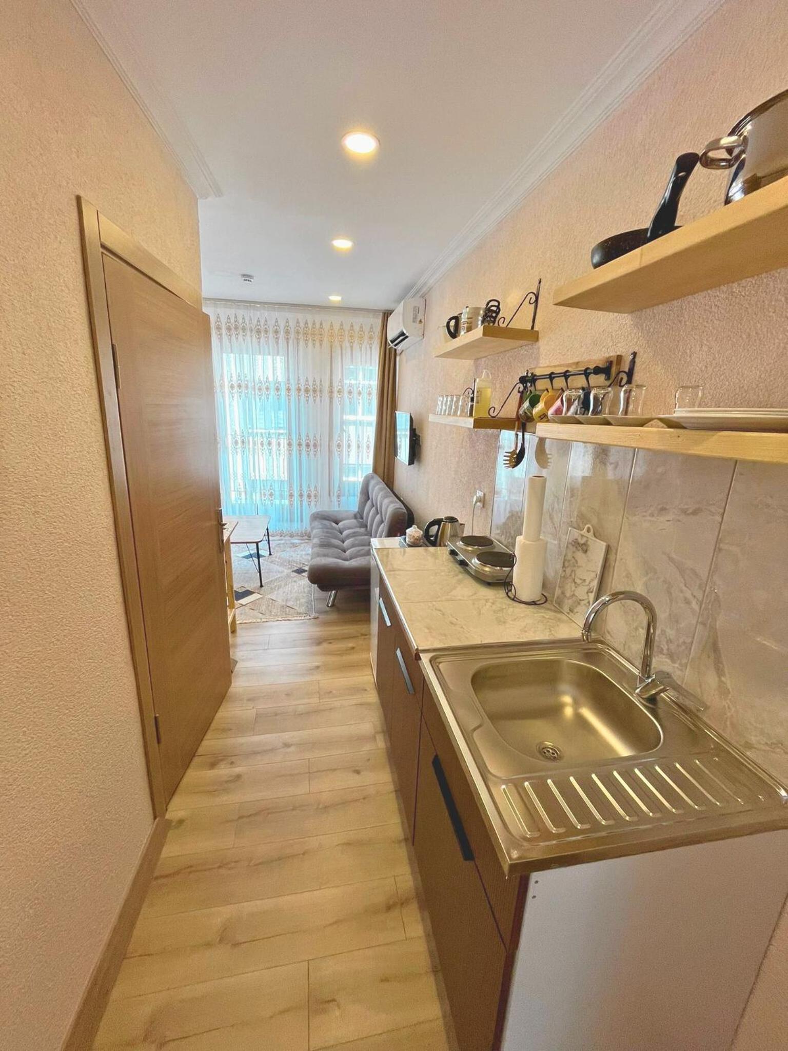 One-Bedroom Family Apartment photo 3
