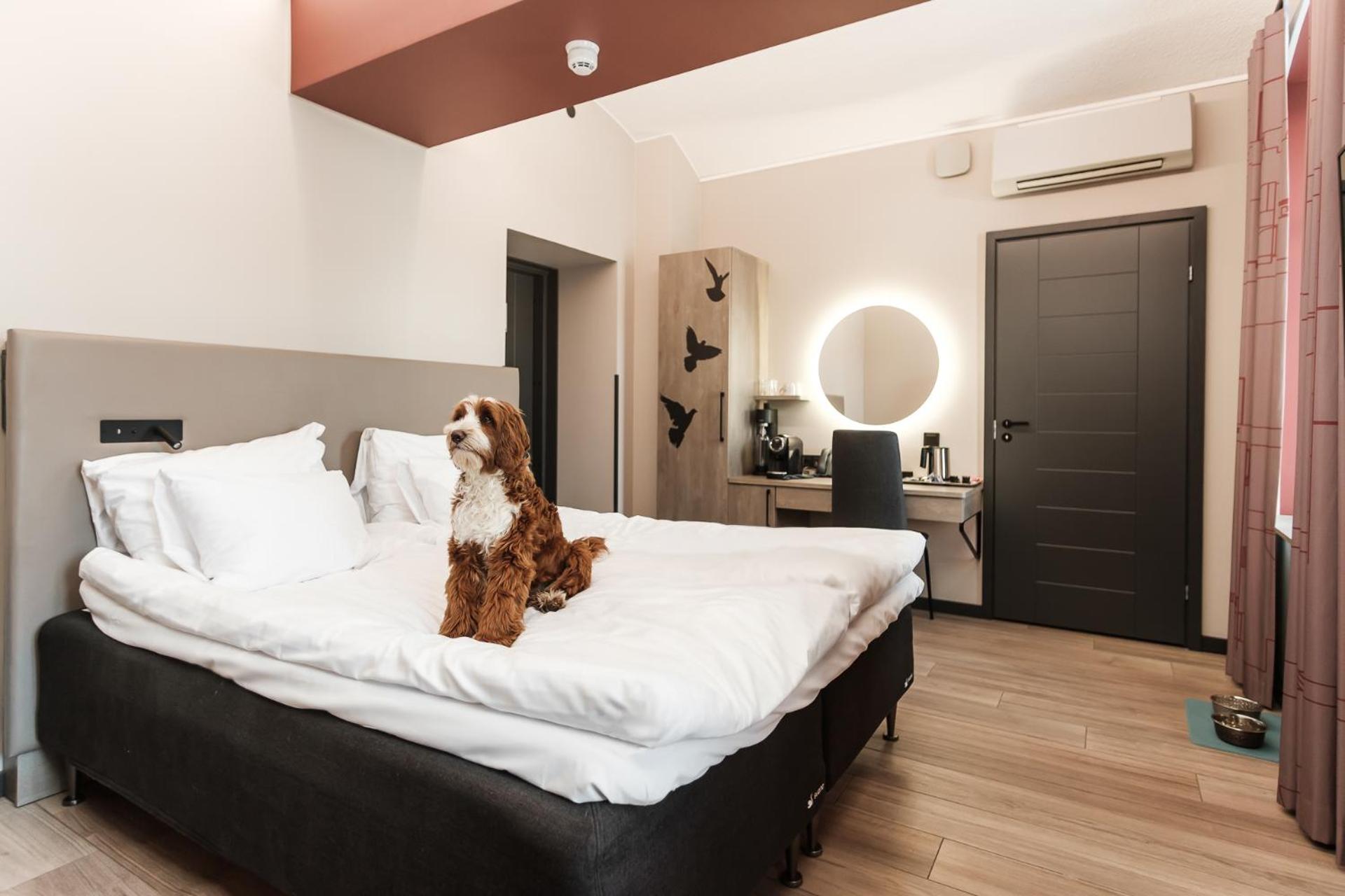 King Room - Photo 1
