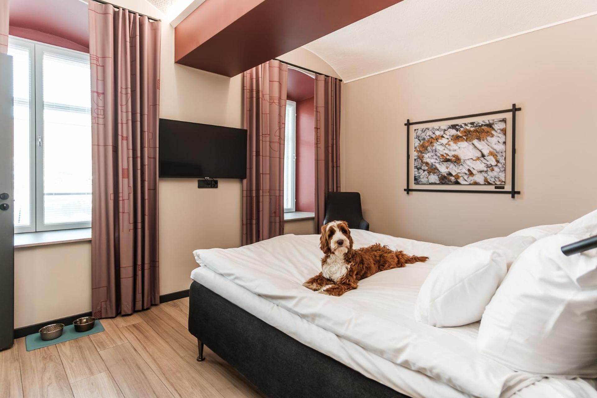 King Room - Photo 2