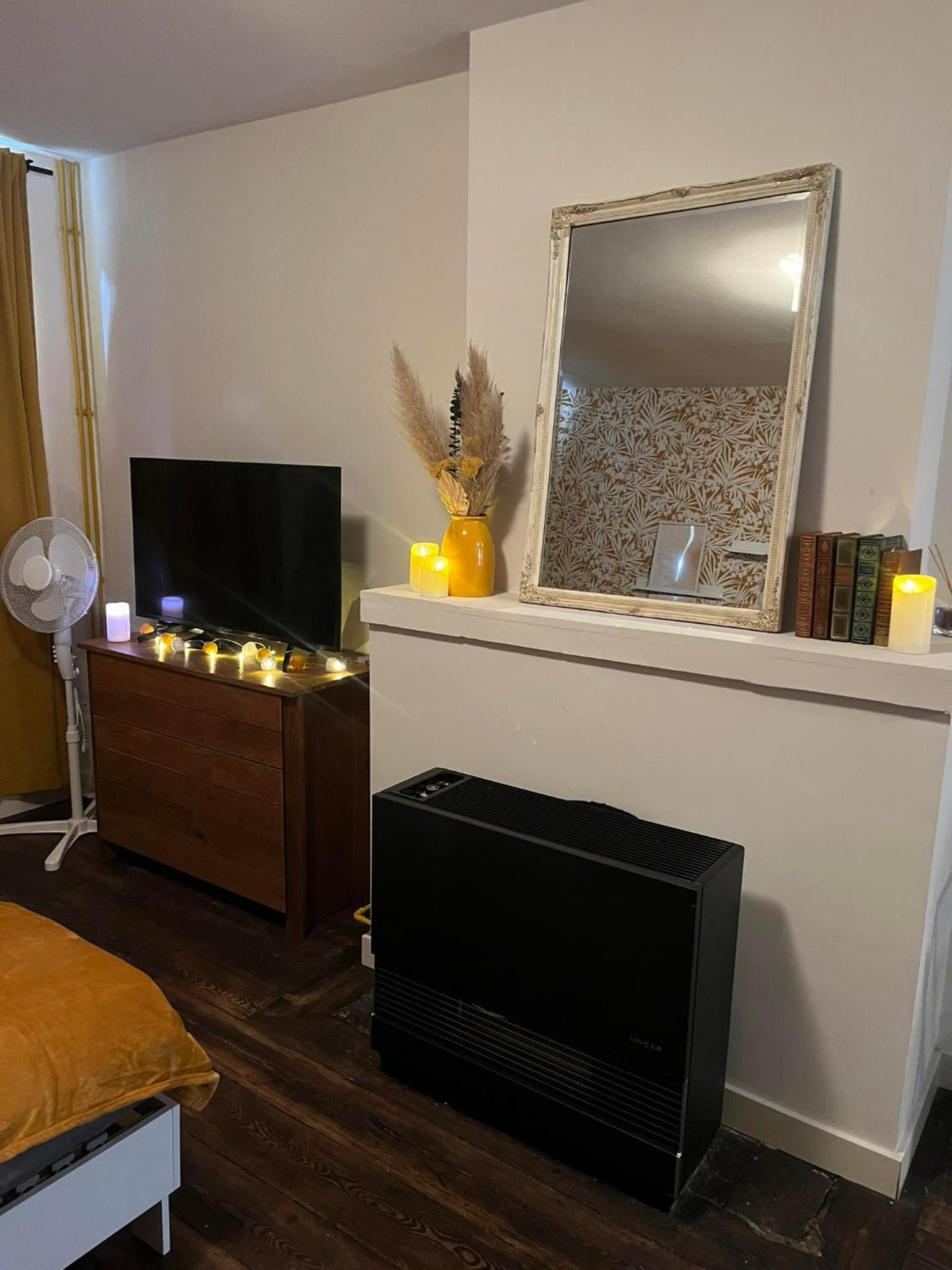 One-Bedroom Apartment photo 2