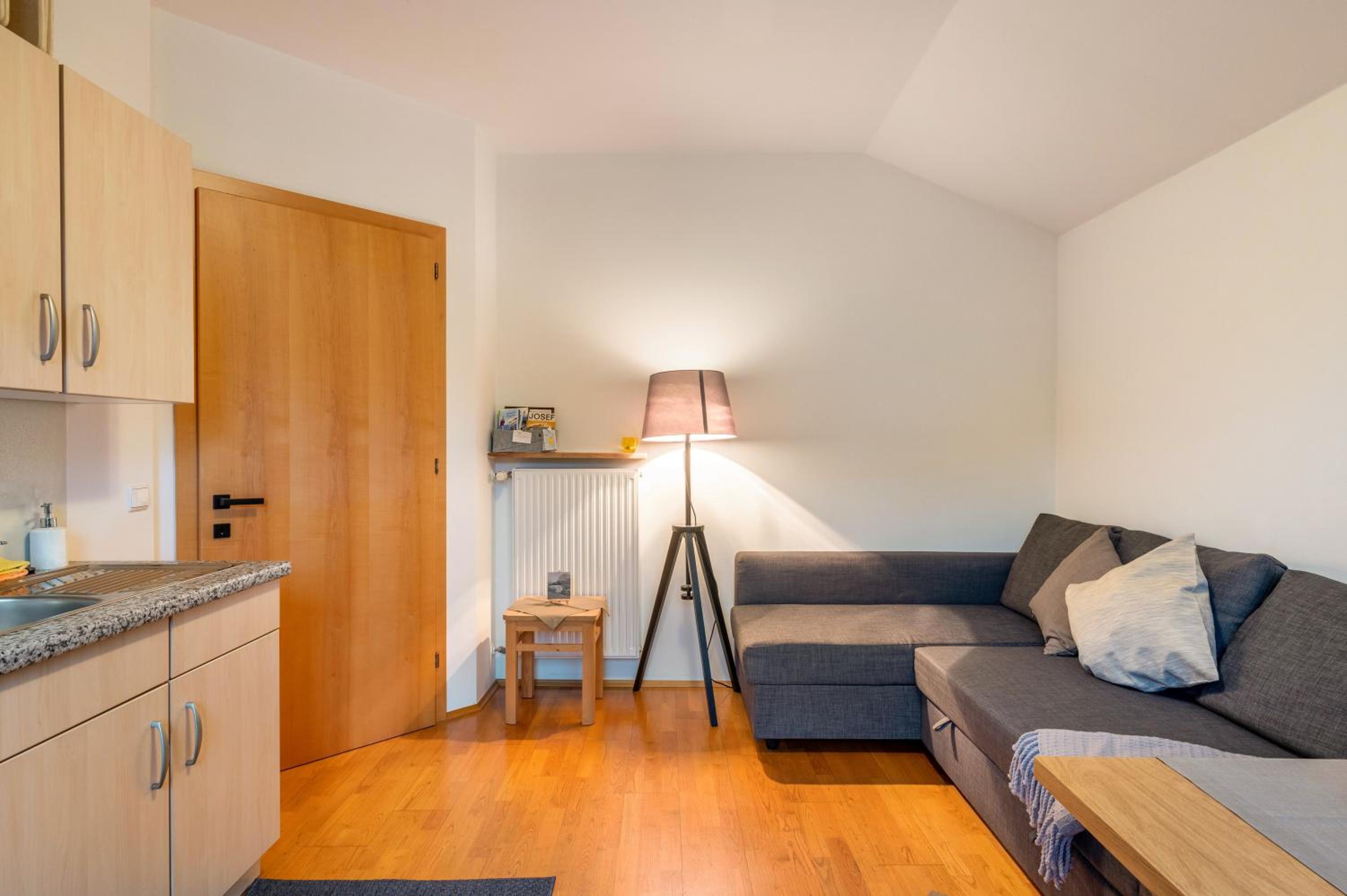 Superior One-Bedroom Apartment with Balcony