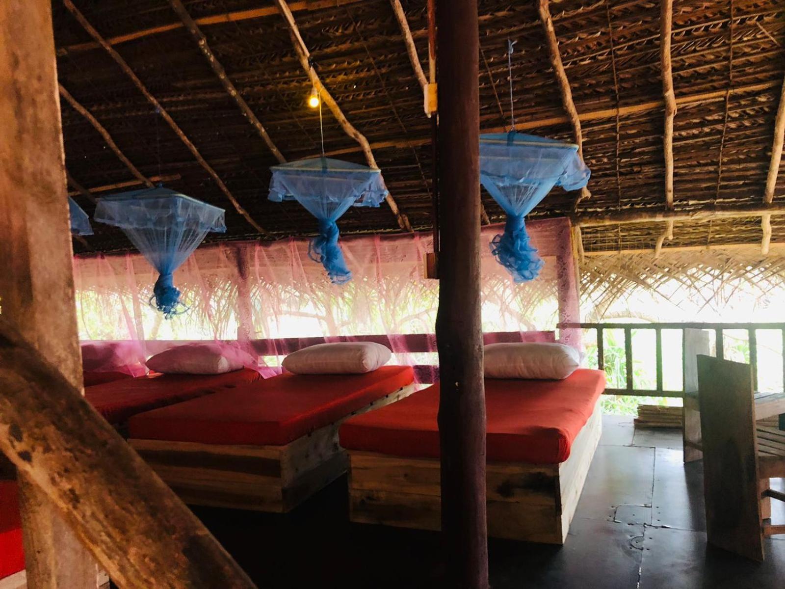 Bed In 8-Bed Mixed Dormitory Room photo 1