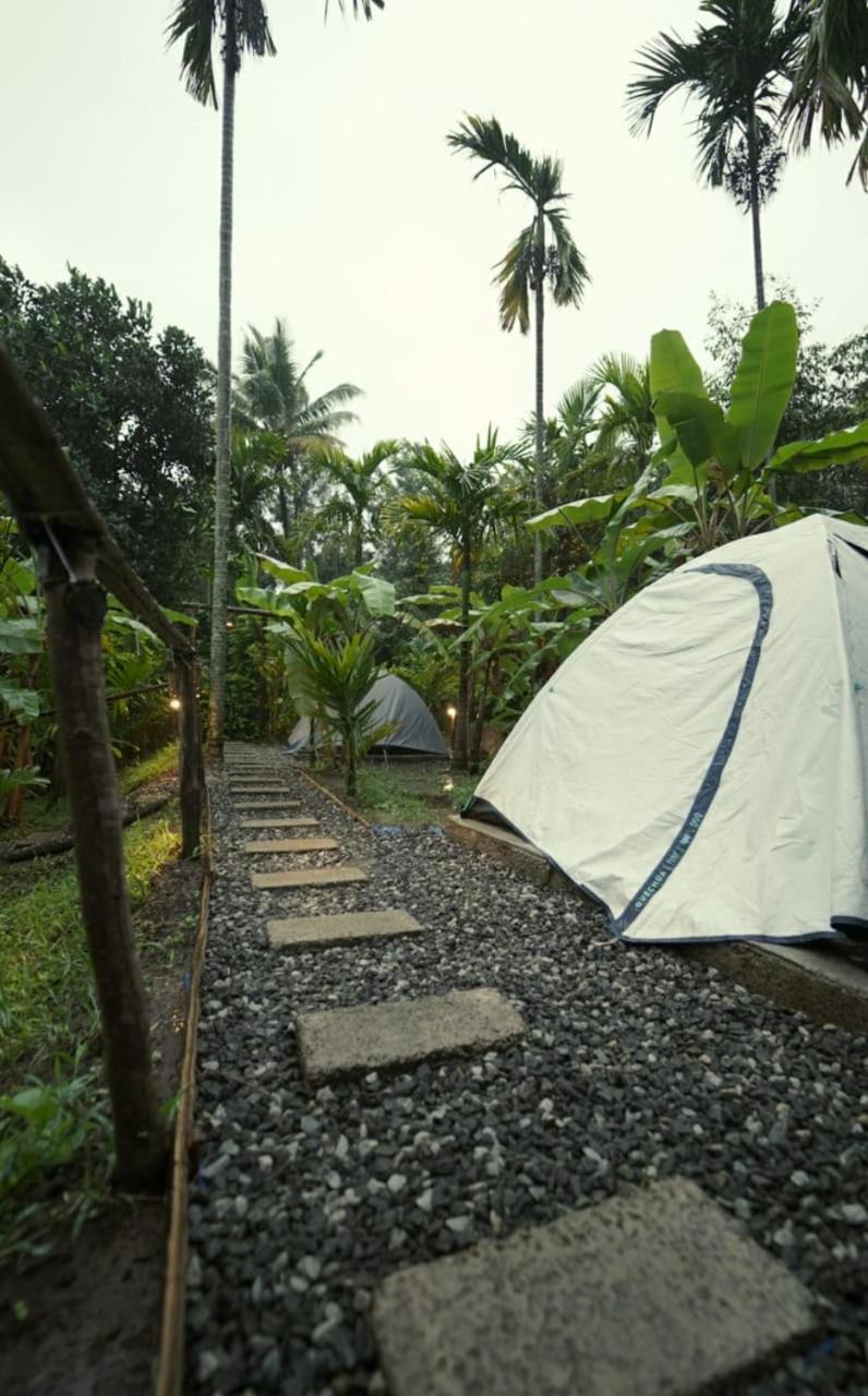 Tent photo 2