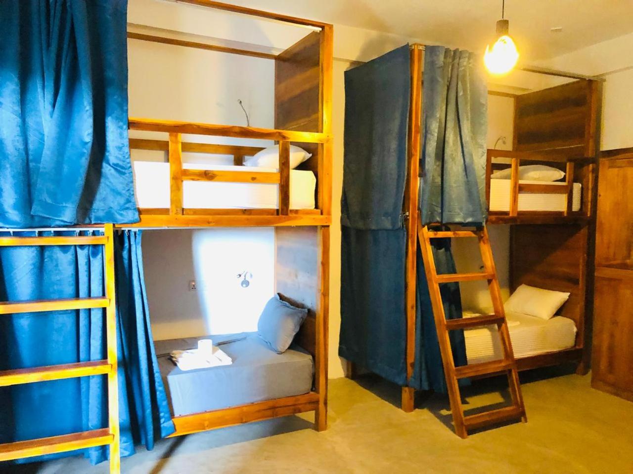 Bunk Bed in Mixed Dormitory Room photo 1