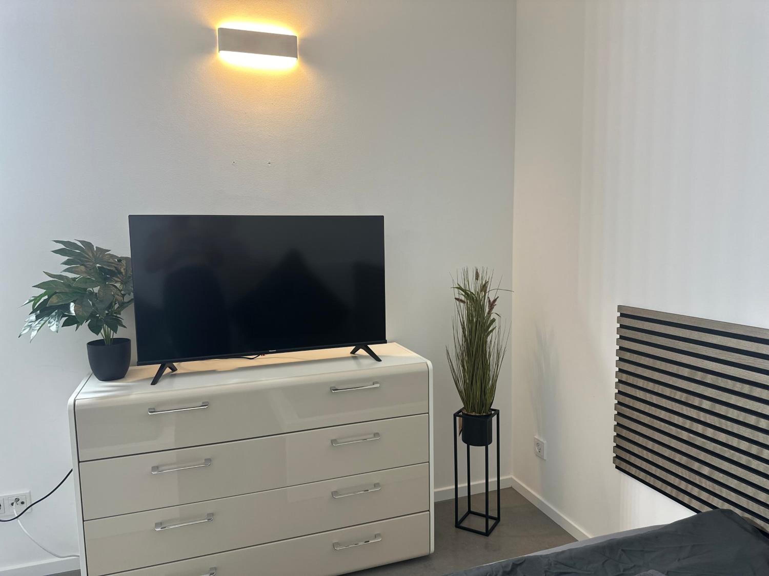 One-Bedroom Apartment photo 3