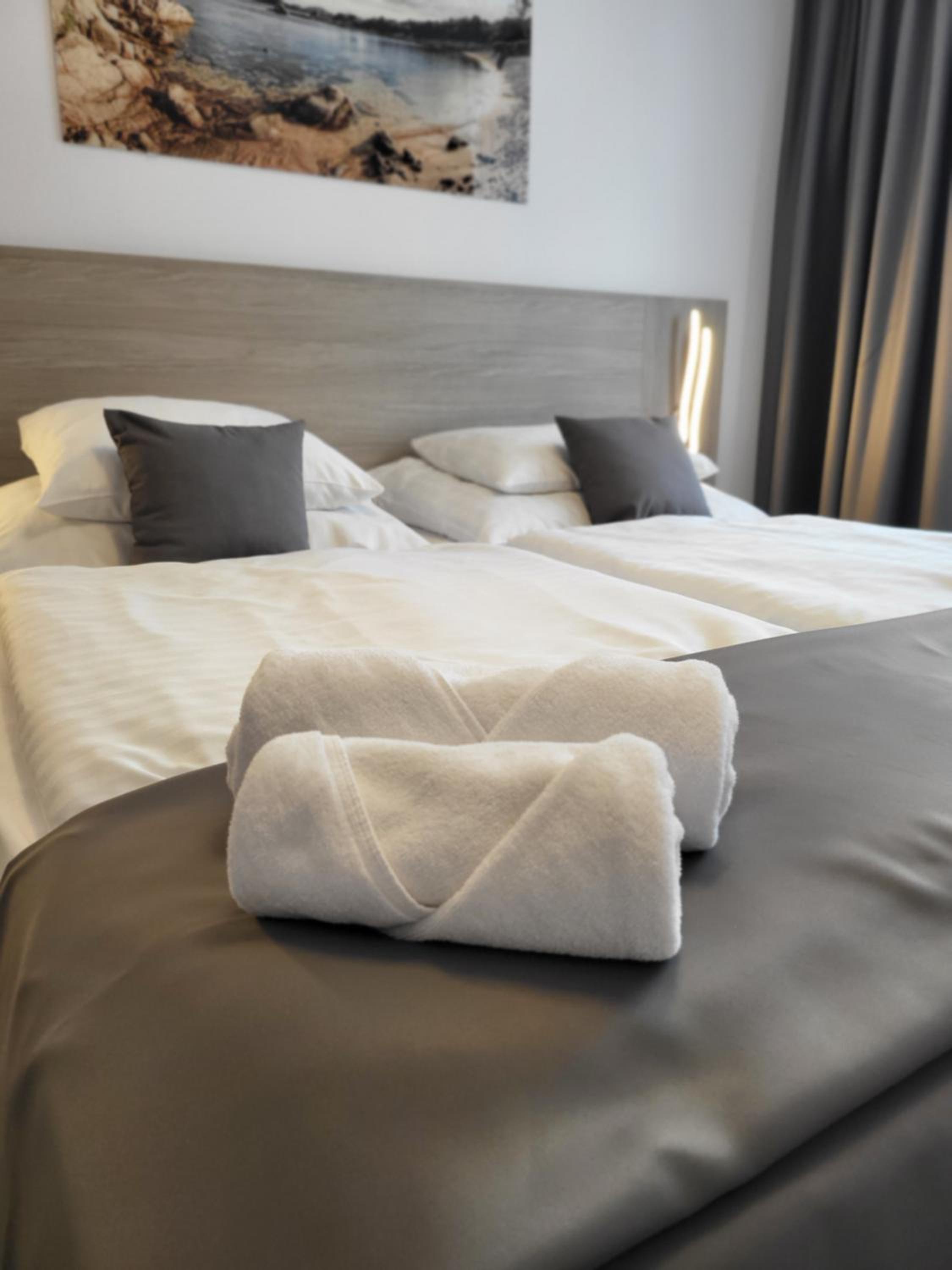 Superior Deluxe Double or Twin Room  - Photo 2