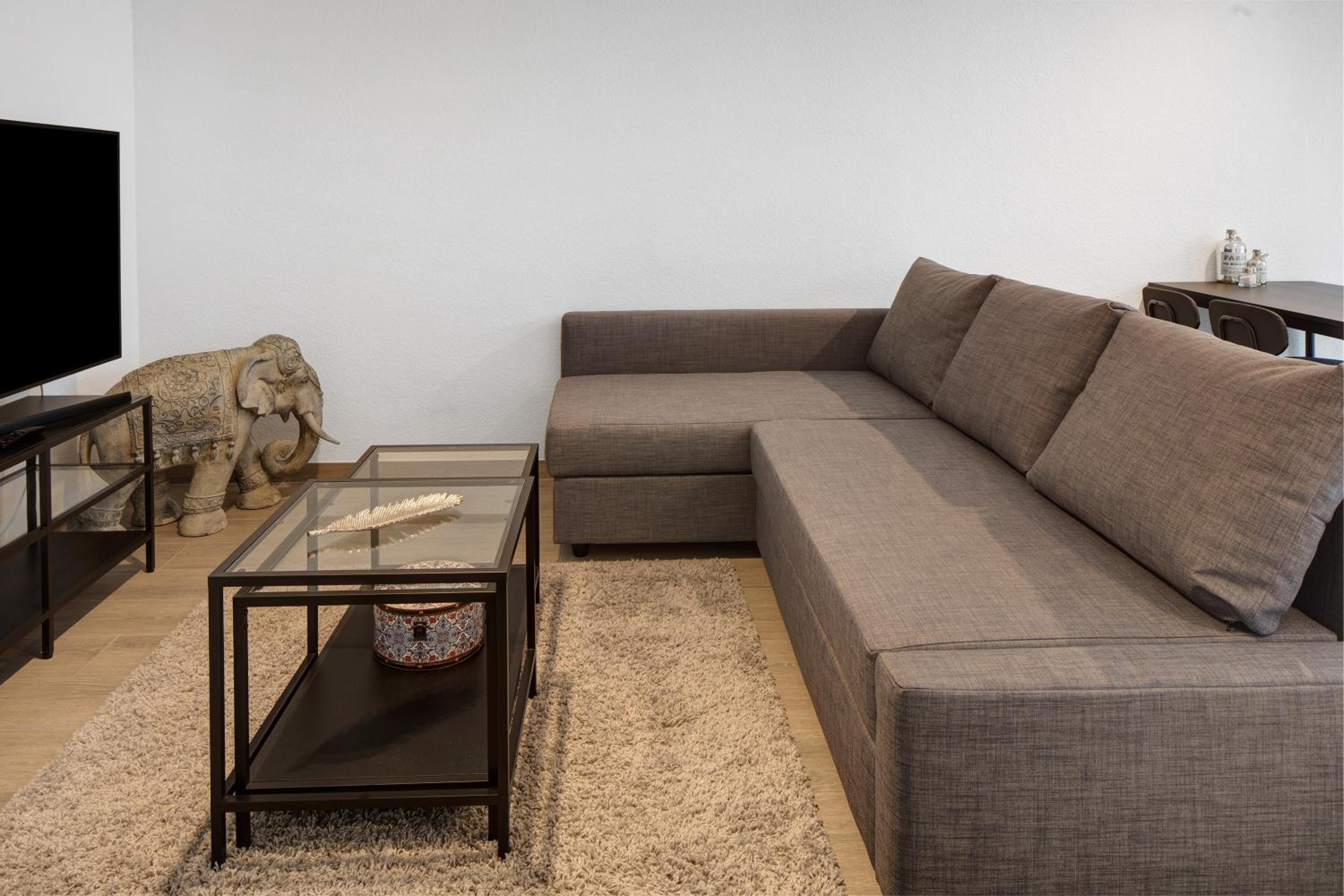 Apartment with Terrace photo 2