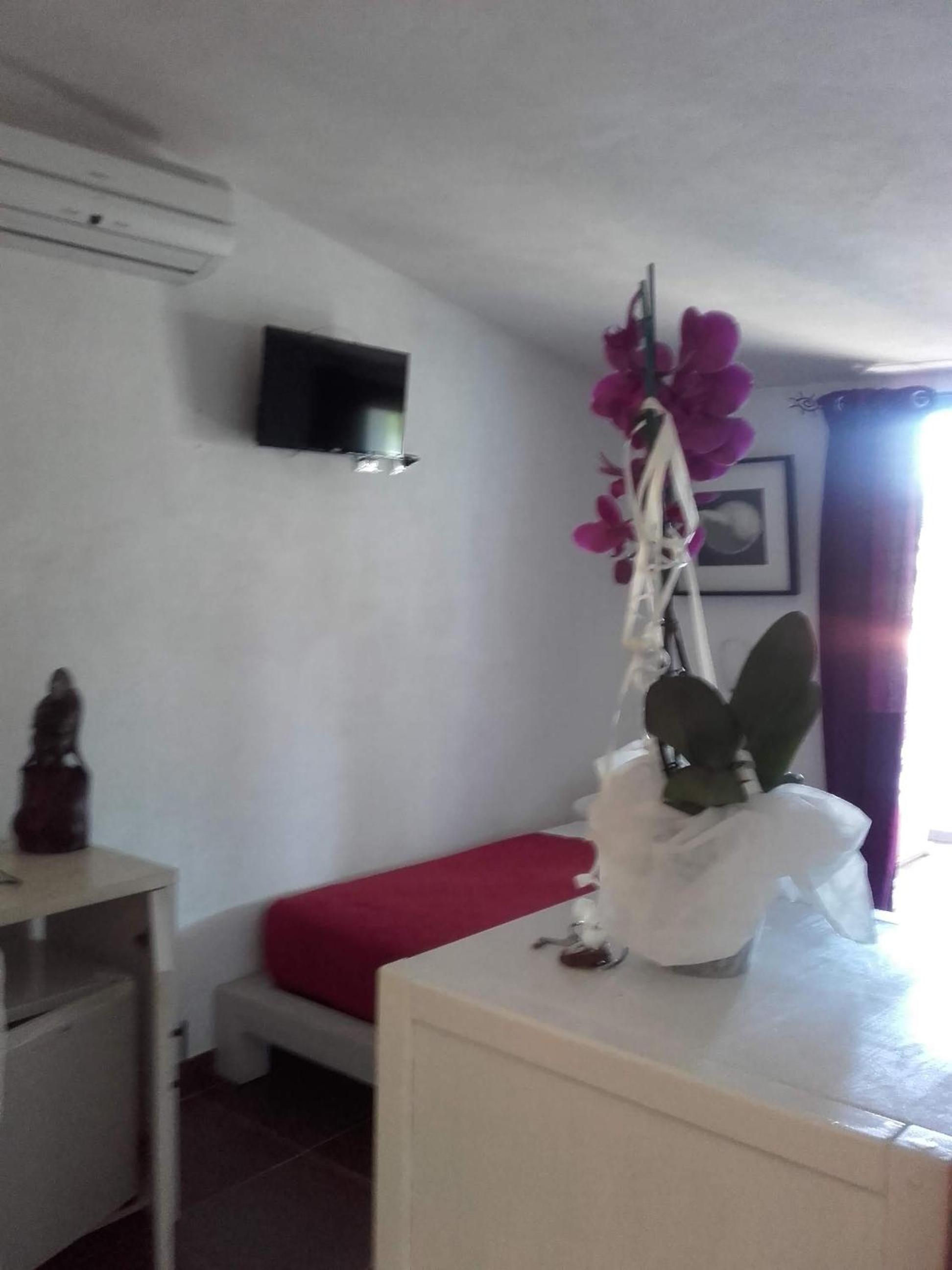 Triple Room with Terrace