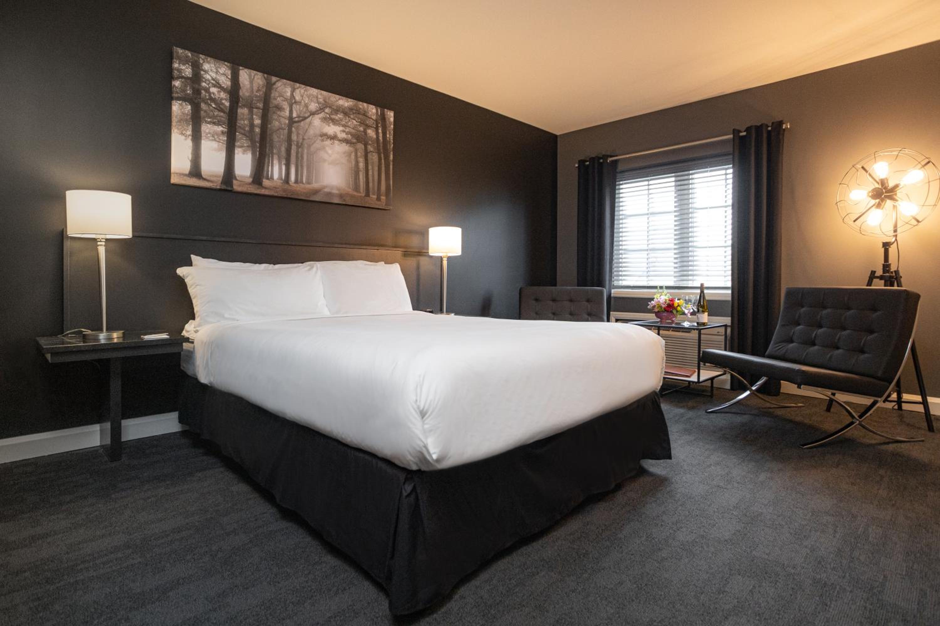 Standard Queen Room photo 1