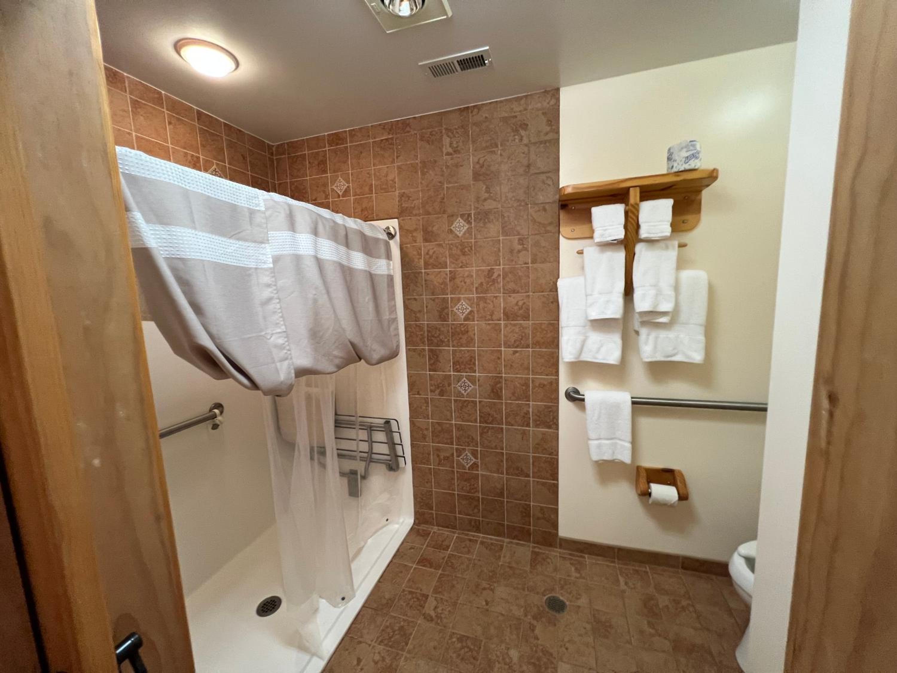 Deluxe Suite - No Tub photo 3
