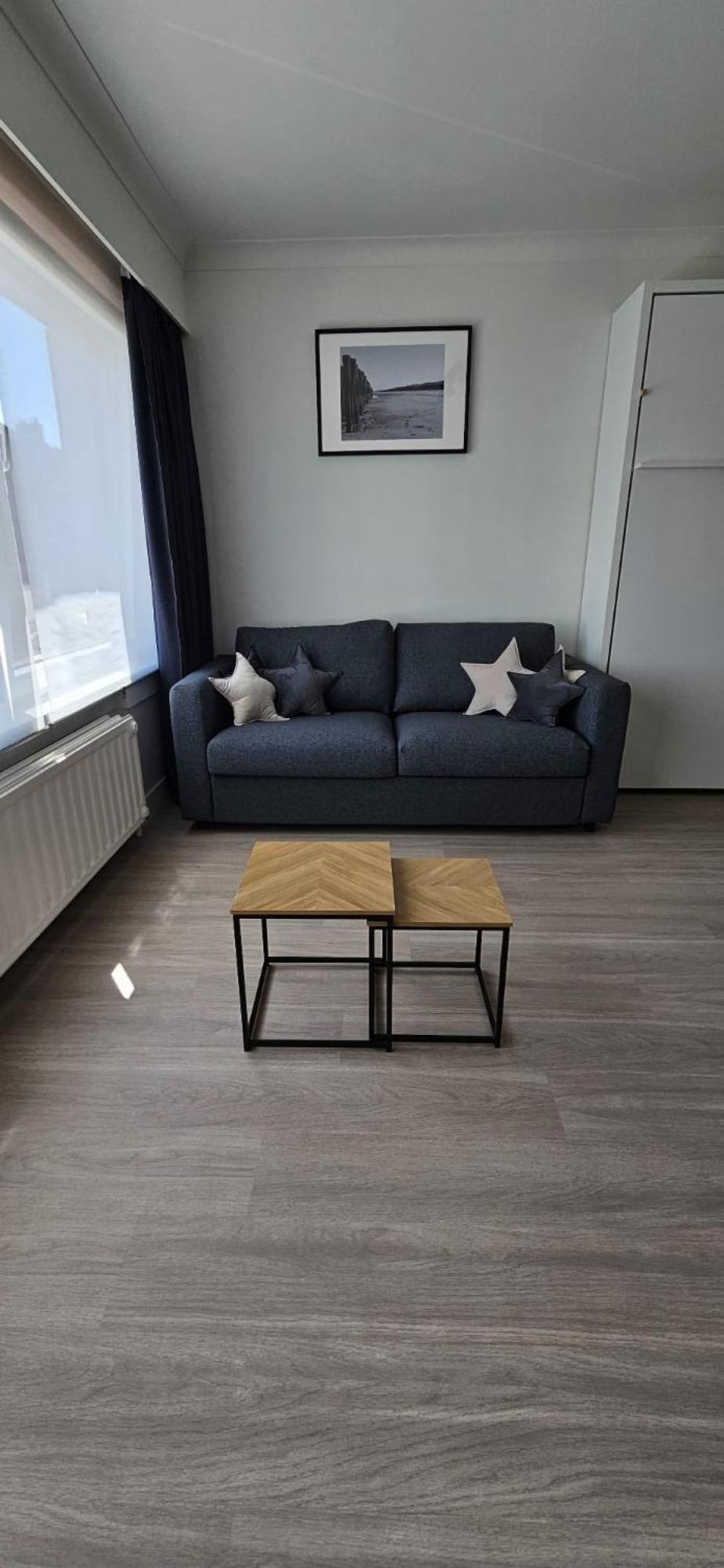 Studio Apartment with King Bed photo 2