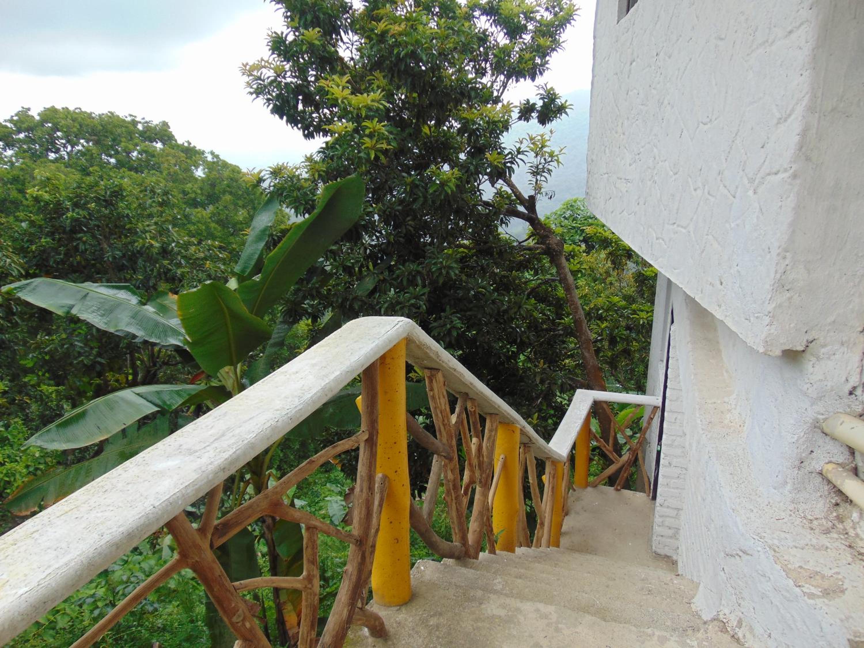 Triple Room with Mountain View photo 3