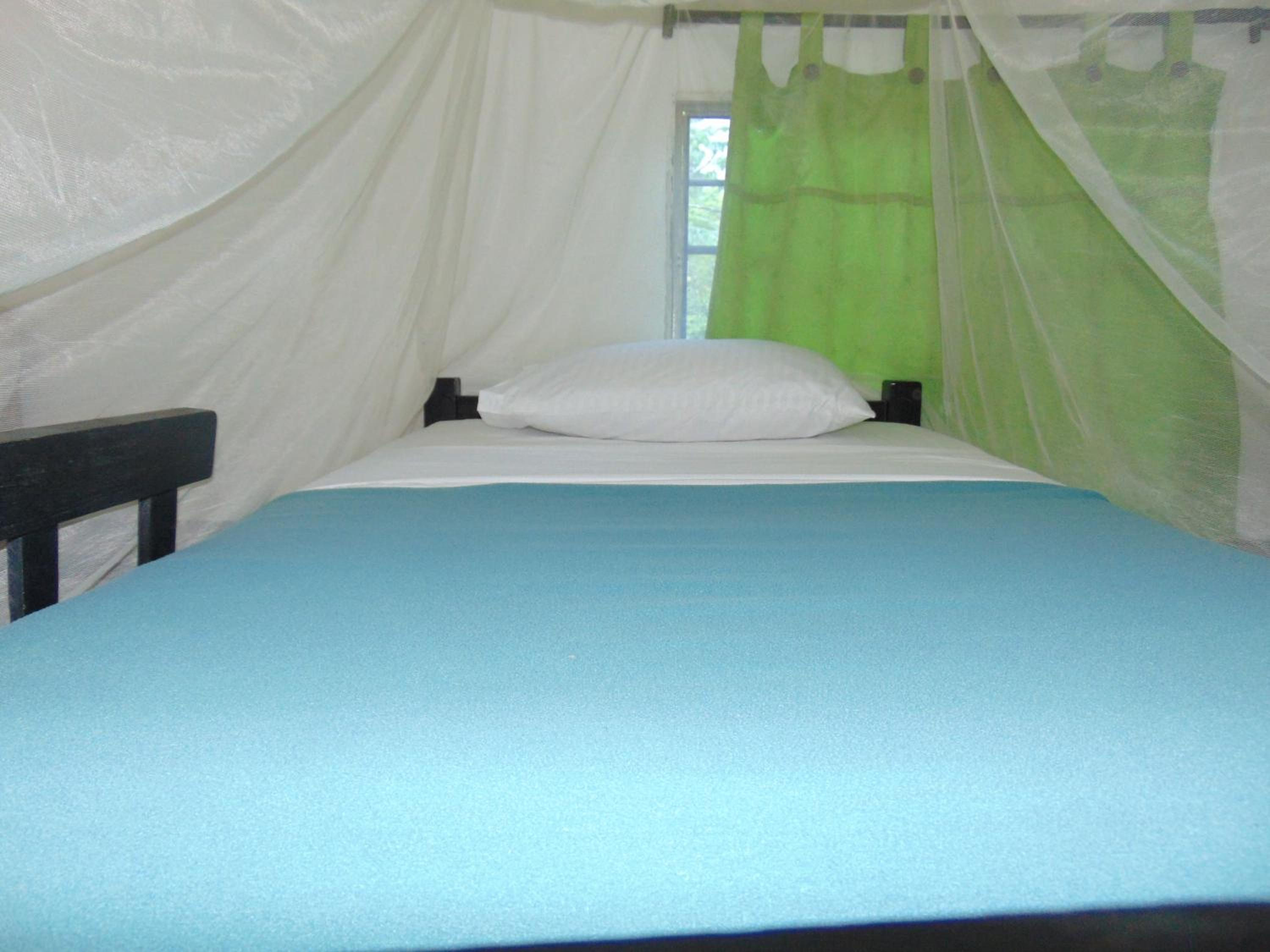 Bed in 6-Bed Mixed Dormitory Room photo 3