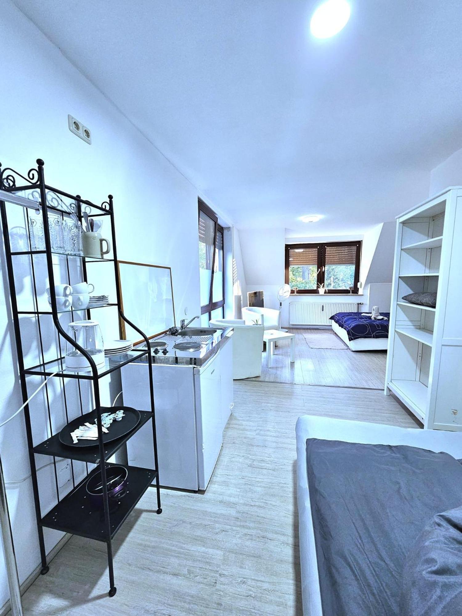 One-Bedroom Apartment photo 3