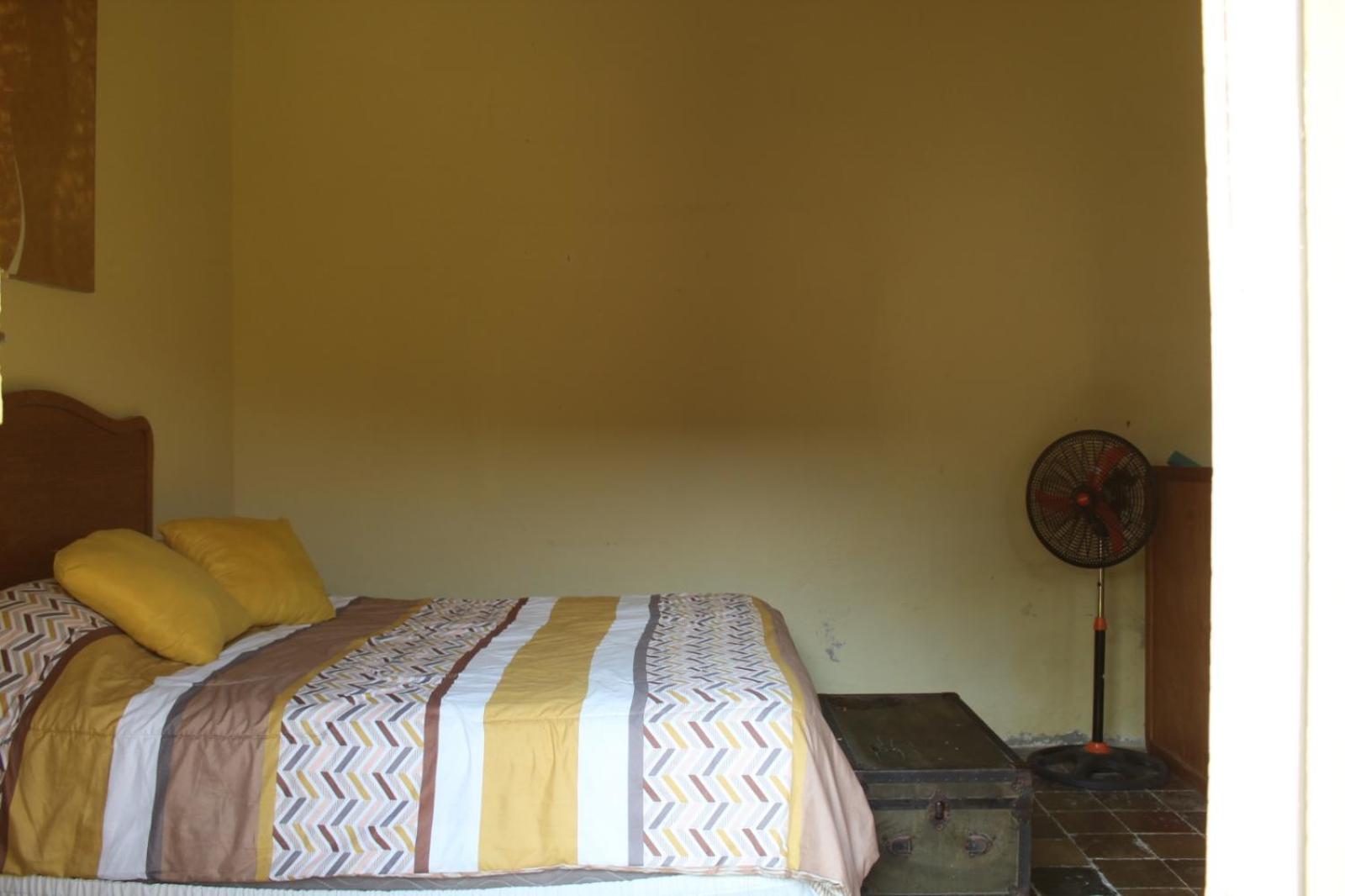Triple Room photo 3