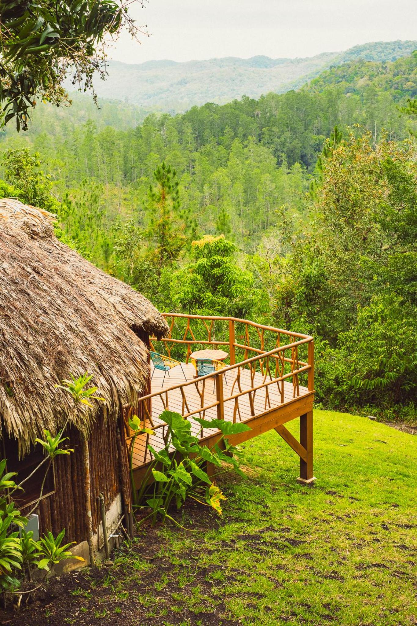 Mountain View Cabana photo 3