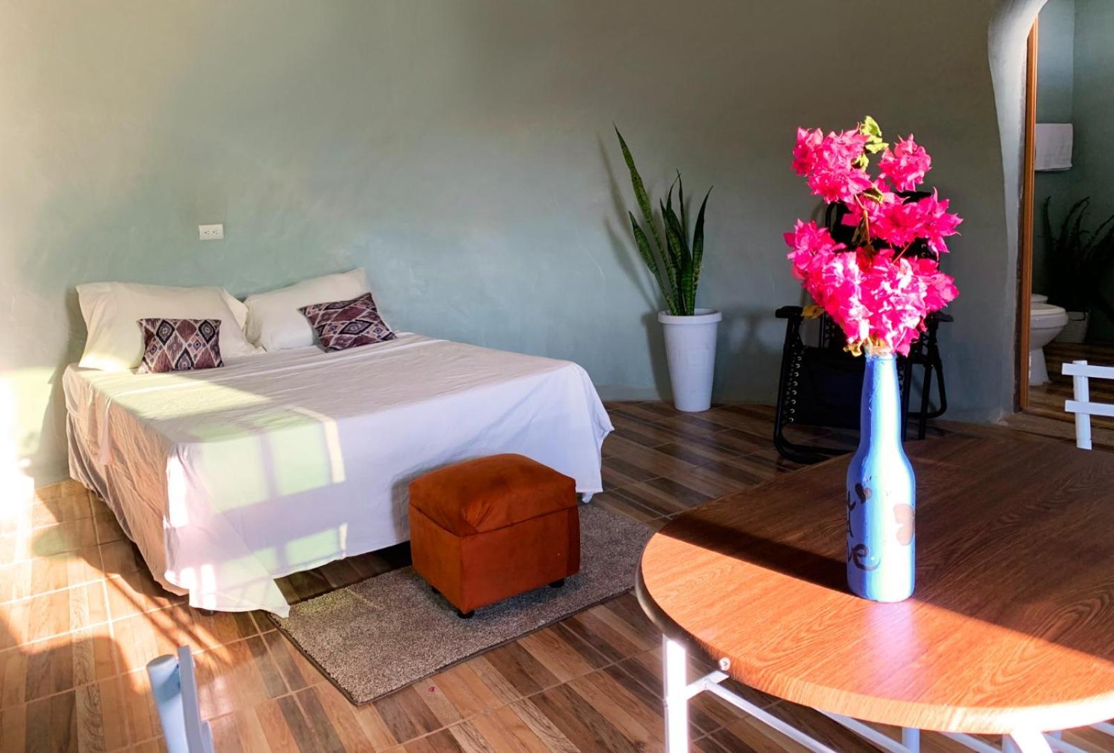 Double or Twin Room photo 1