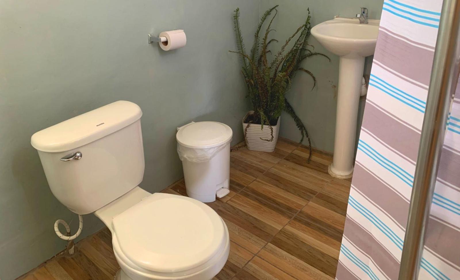 Double or Twin Room photo 2