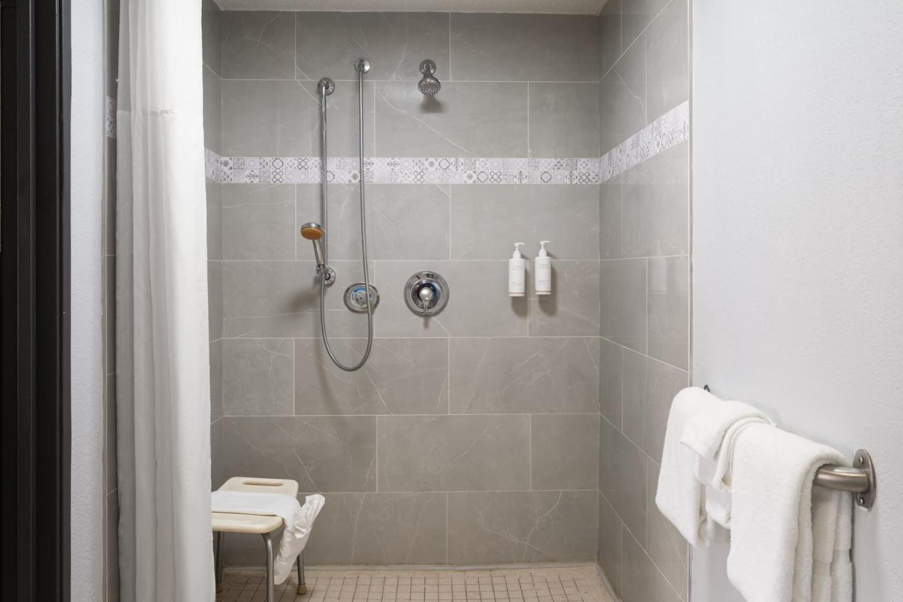 Queen Room with Roll-In Shower - Mobility Accessible/Non-Smoking - Photo 2