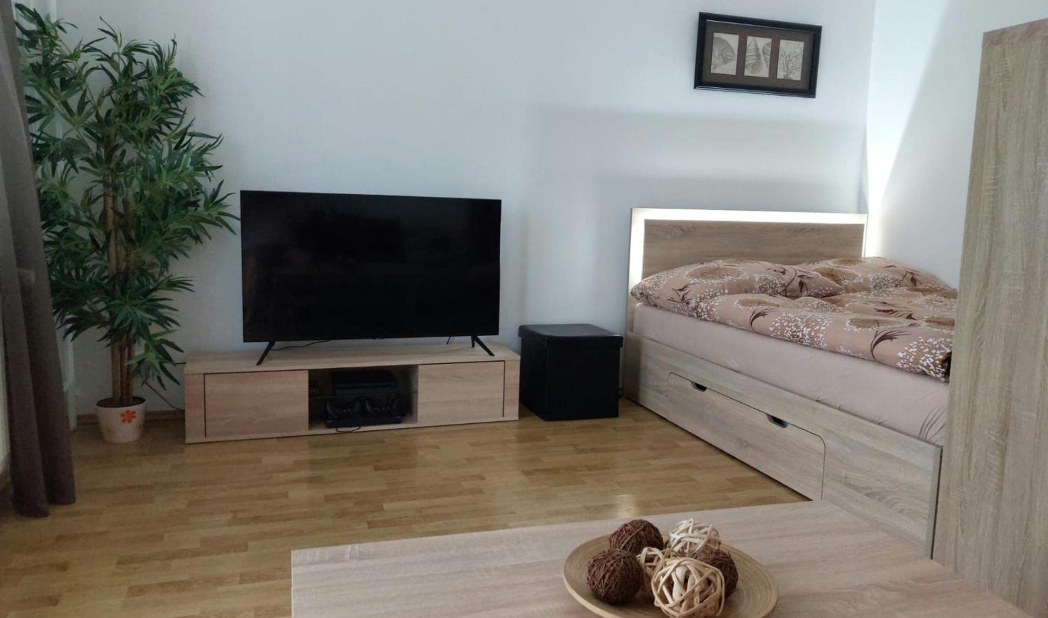 One-Bedroom Apartment photo 2