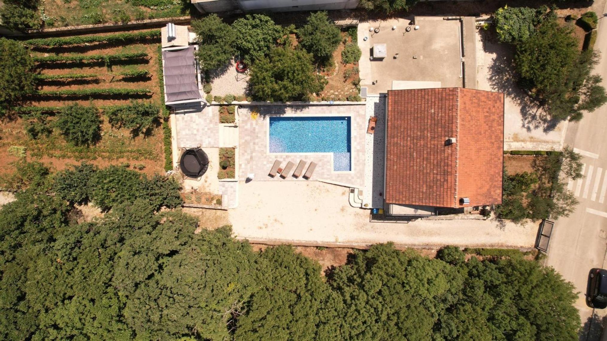 Three-Bedroom Villa photo 2