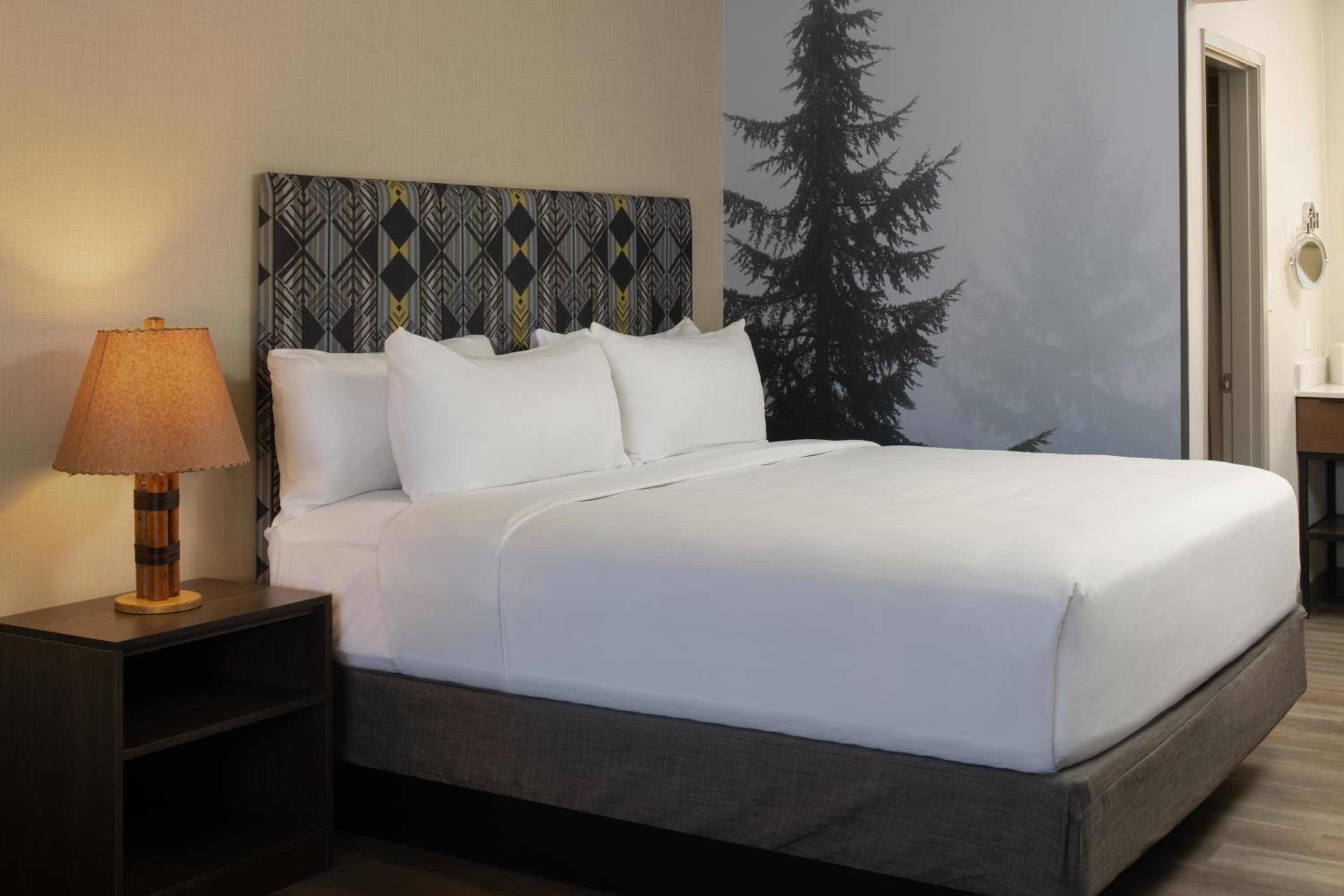 Queen Room - Disability Access - Photo 1