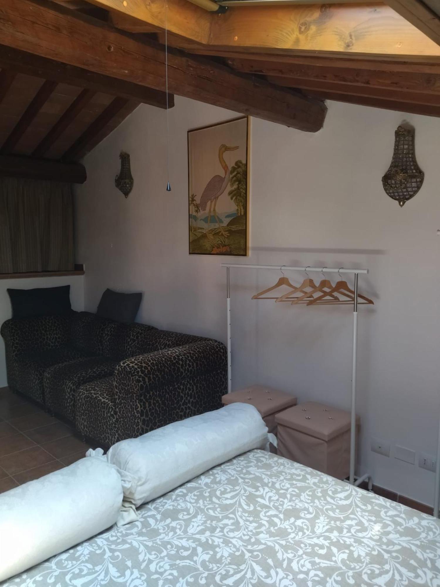 Apartment with Terrace photo 3