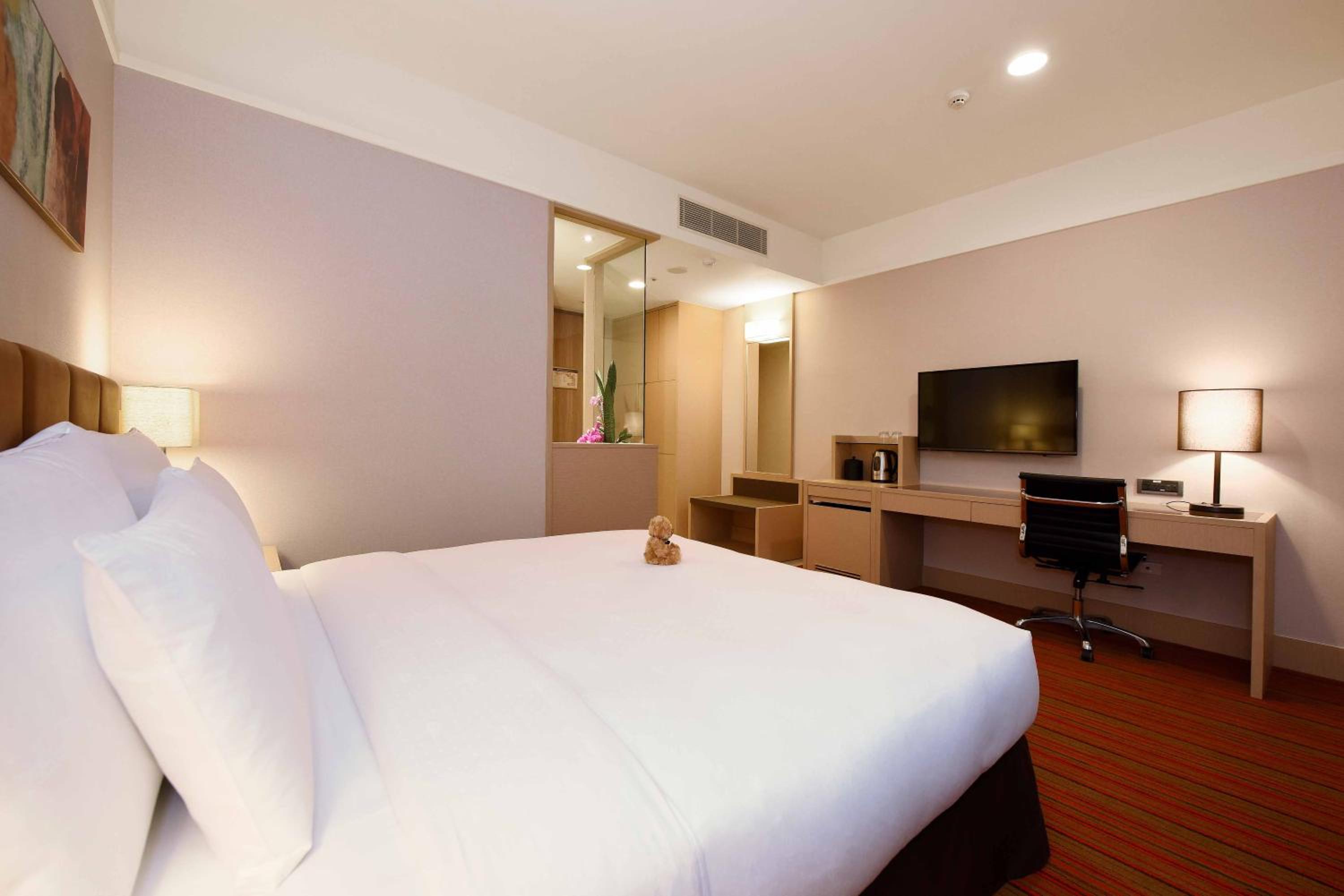 Superior Double Room photo 3