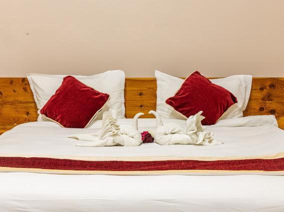 Double Room photo 1