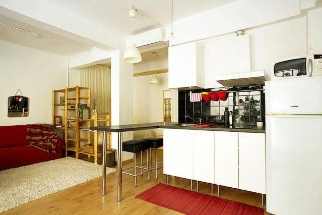 One-Bedroom Apartment photo 2