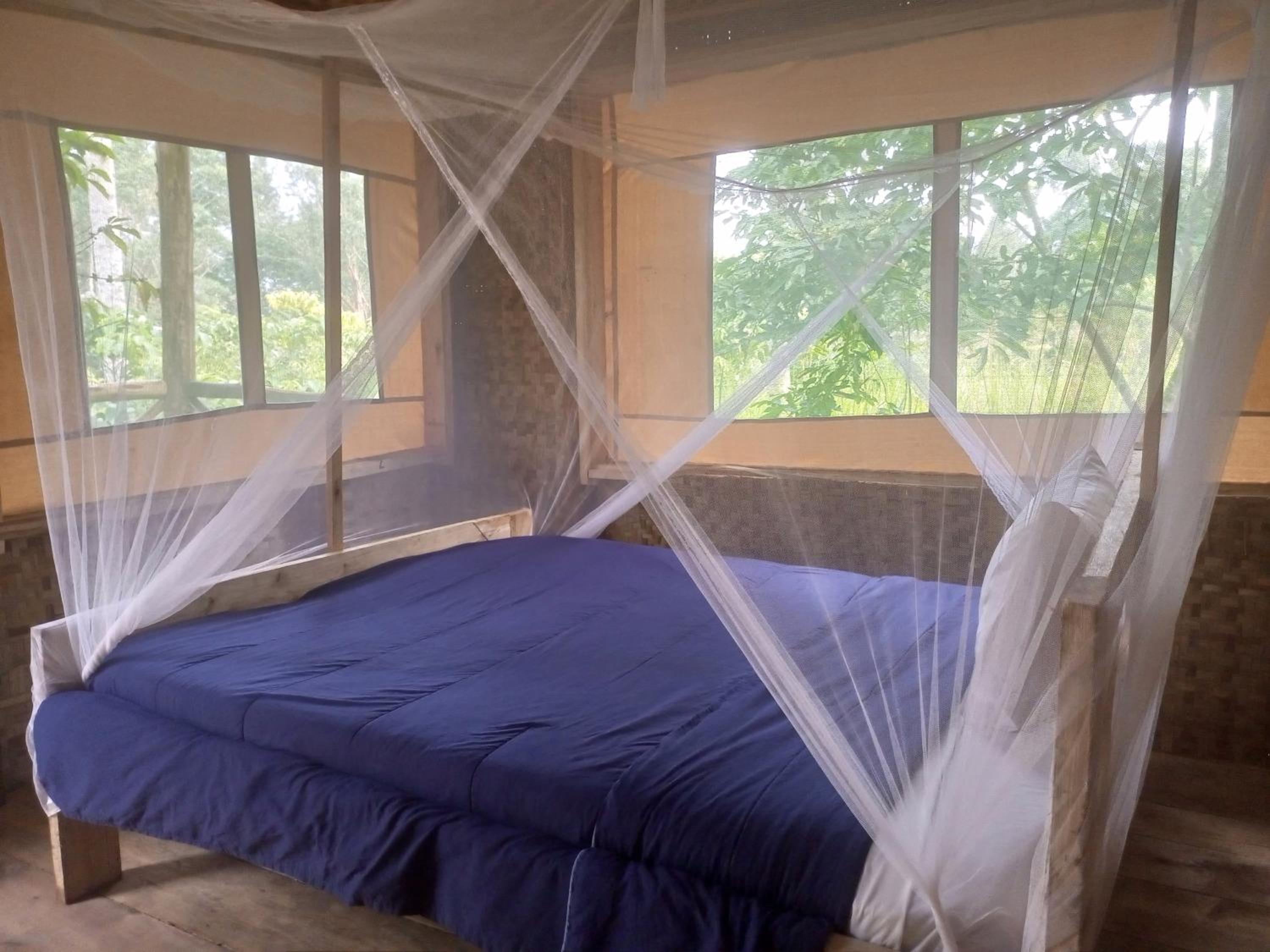 Double or Twin Room photo 2