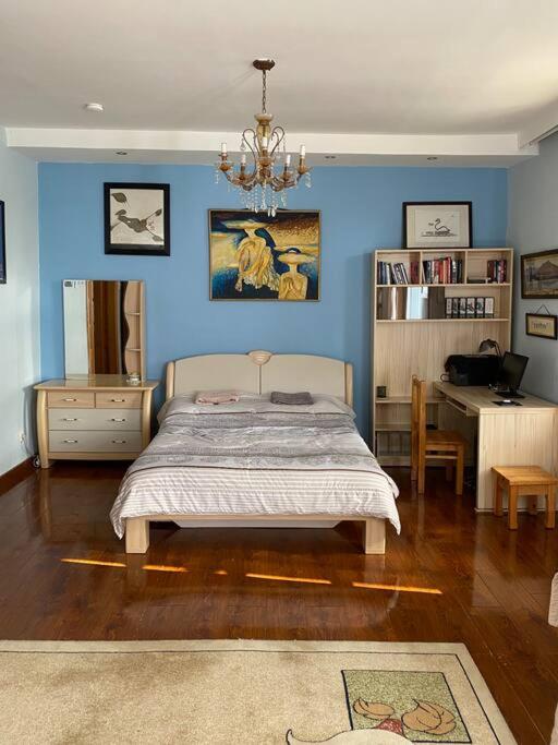 One-Bedroom Apartment photo 3
