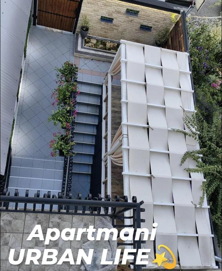 One-Bedroom Apartment photo 3