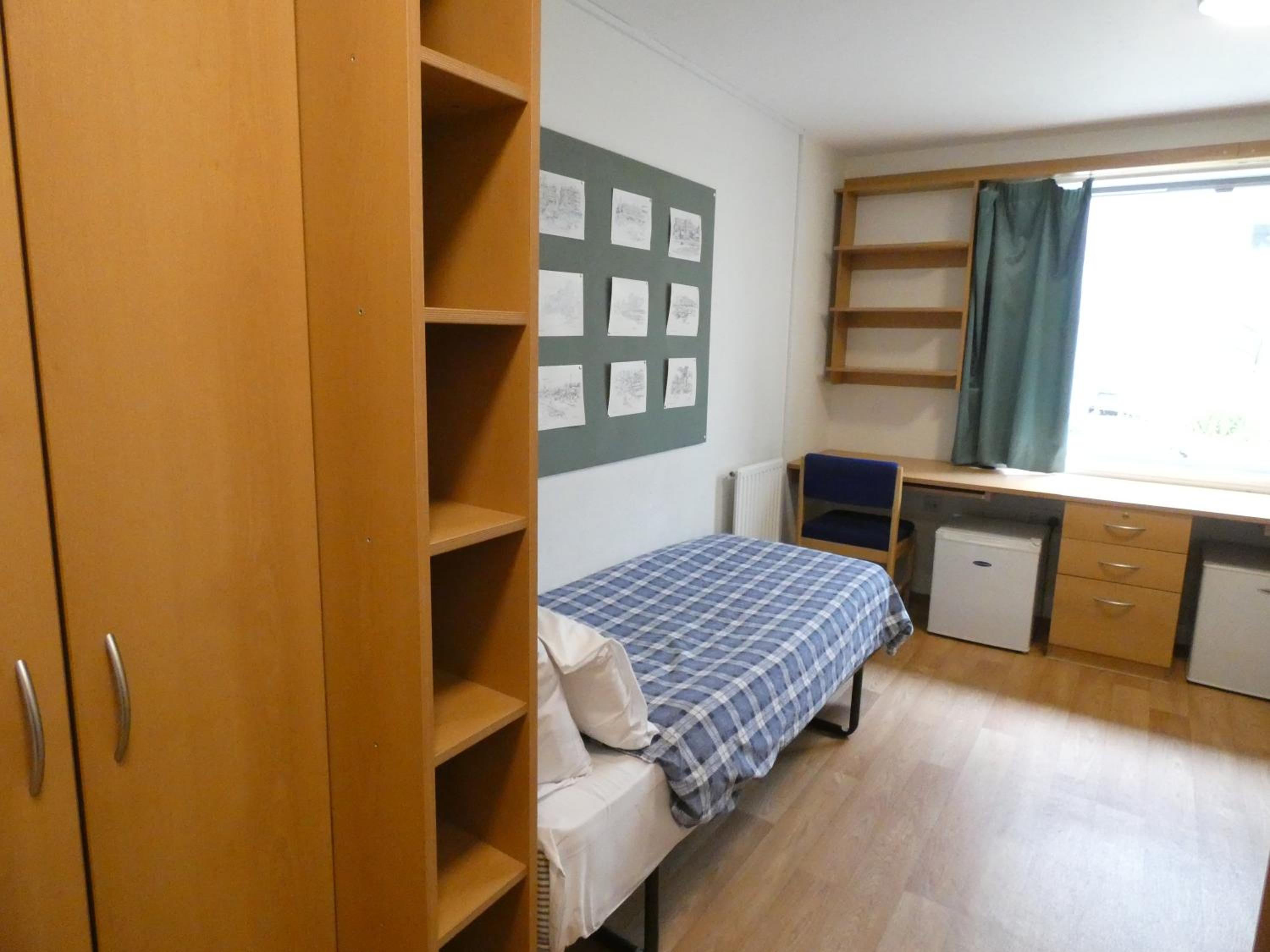 Single Bed in Male 2 Bed Dormitory Room photo 1