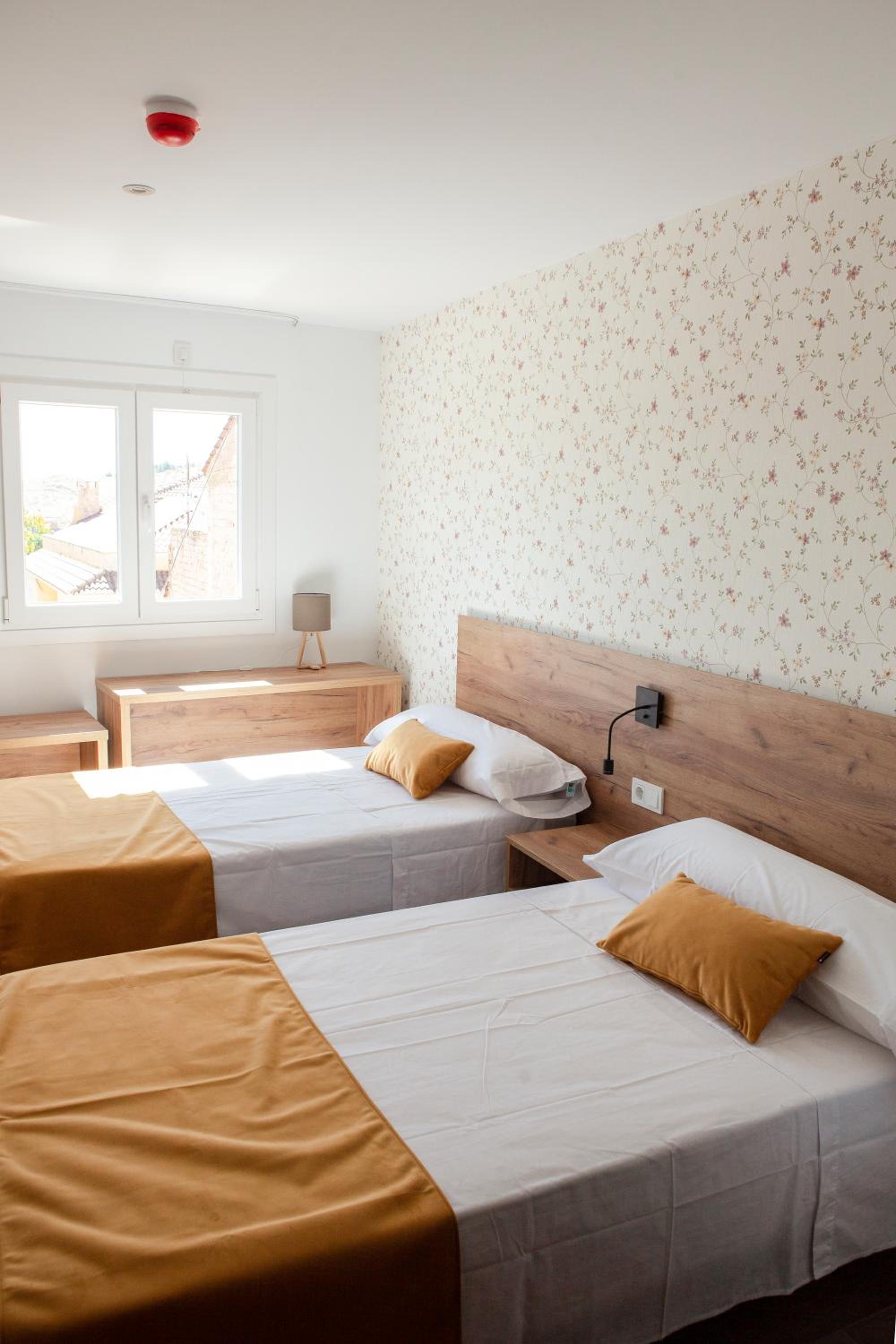Twin Room photo 2