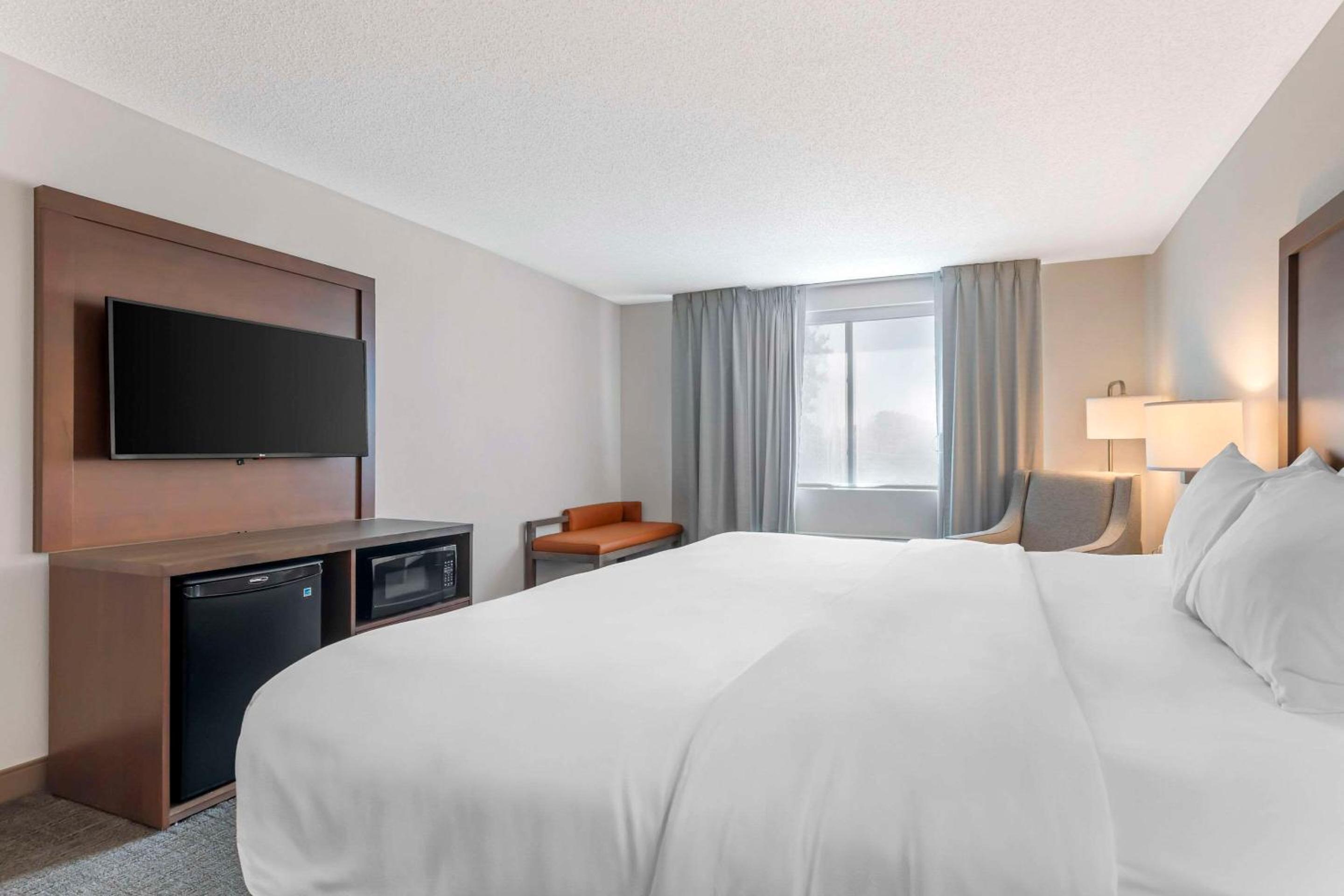 King Suite with Sofa Bed - Non Smoking - Photo 3