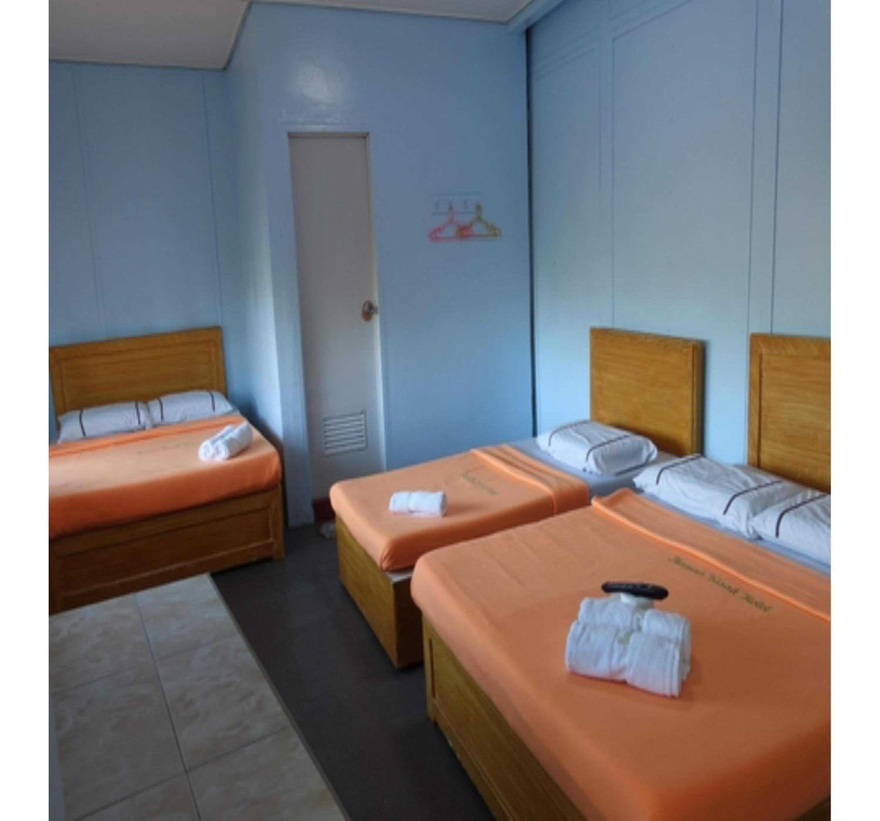 Bed in 6-Bed Mixed Dormitory Room