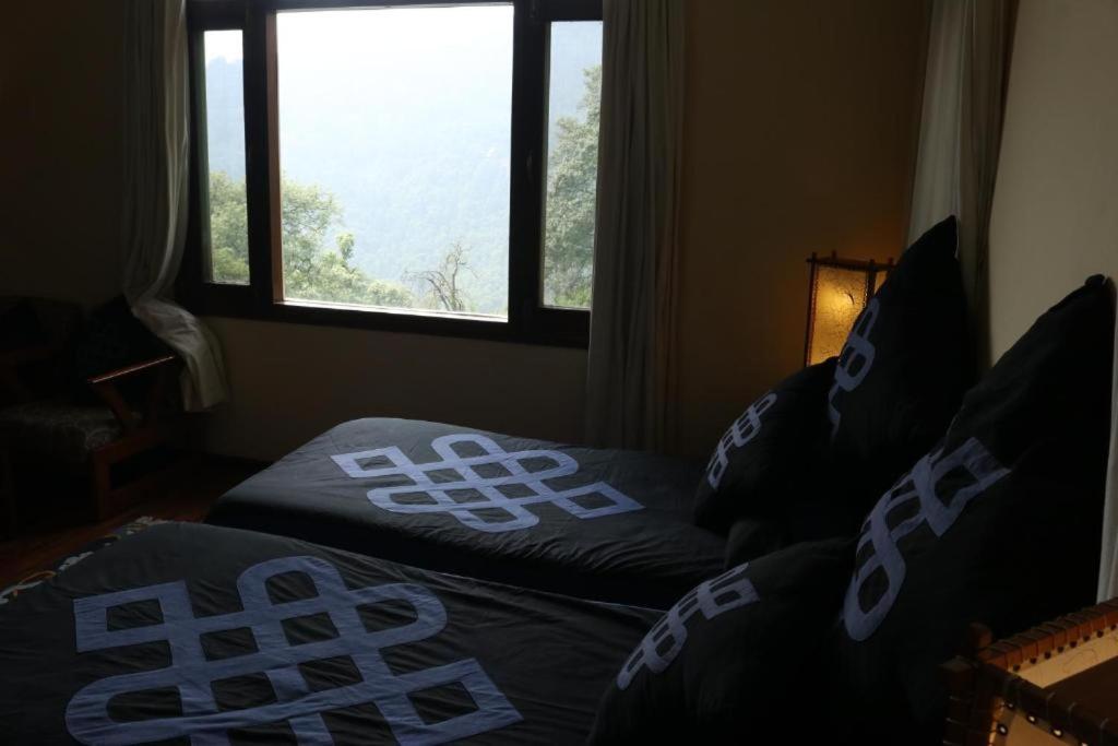 Deluxe Twin Room - Photo 2