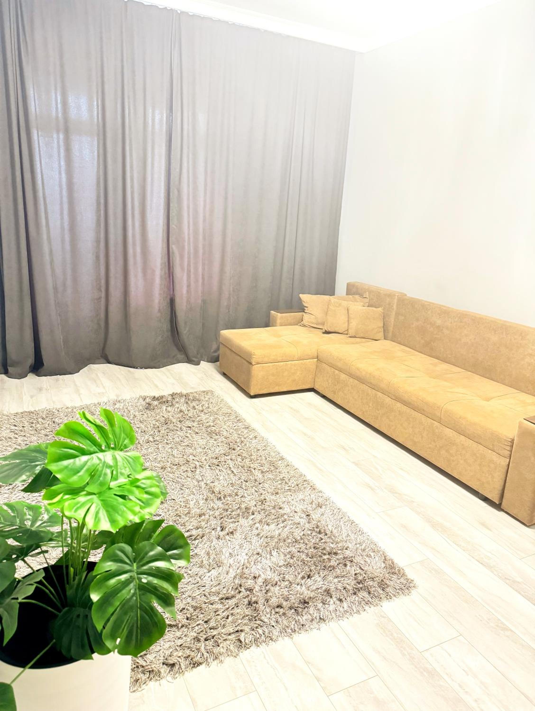 One-Bedroom Apartment photo 3