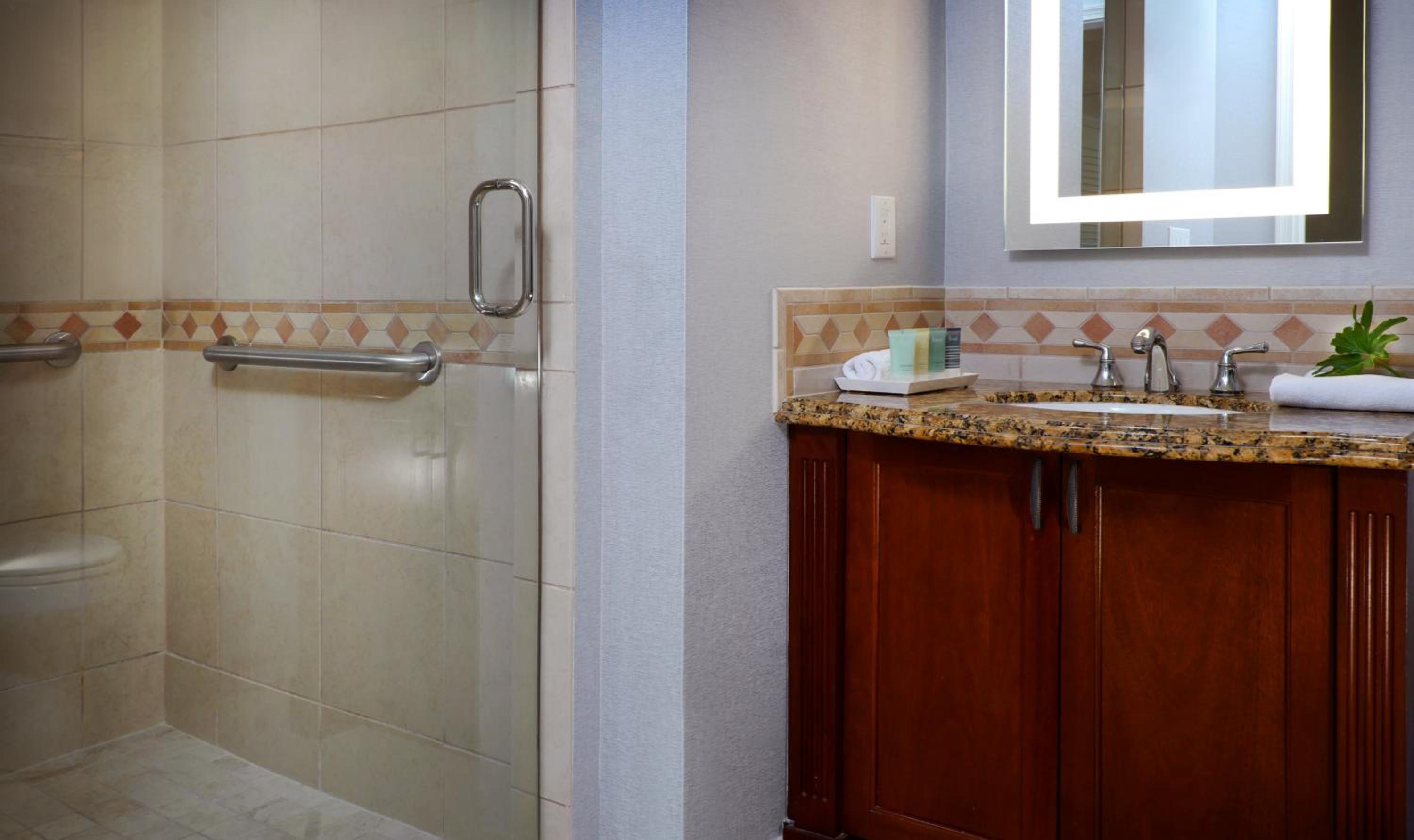 One Bedroom Suite Accessible - Photo 4
