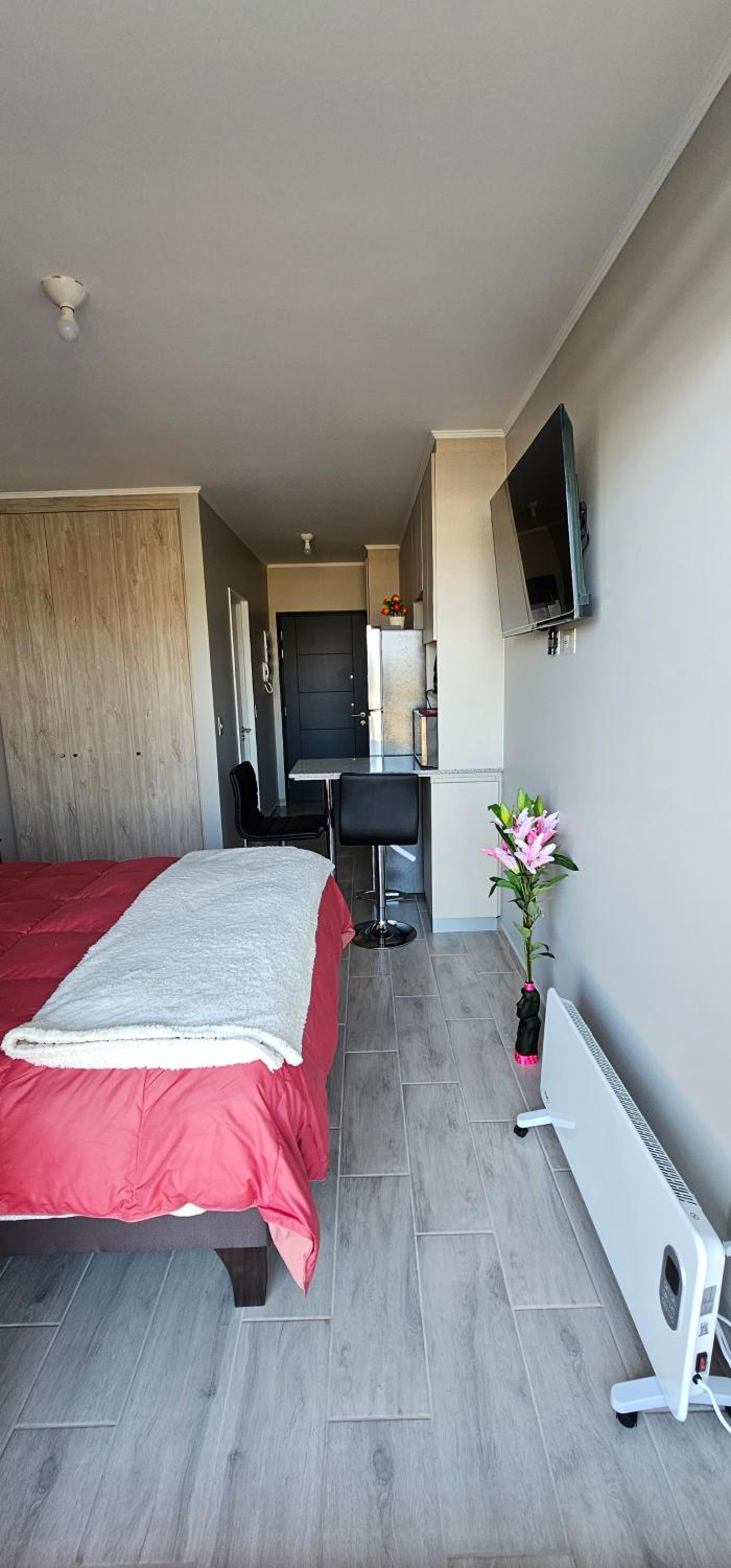 One-Bedroom Apartment photo 2