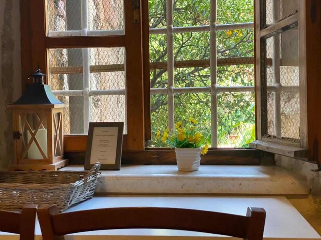 Double Room With Garden View