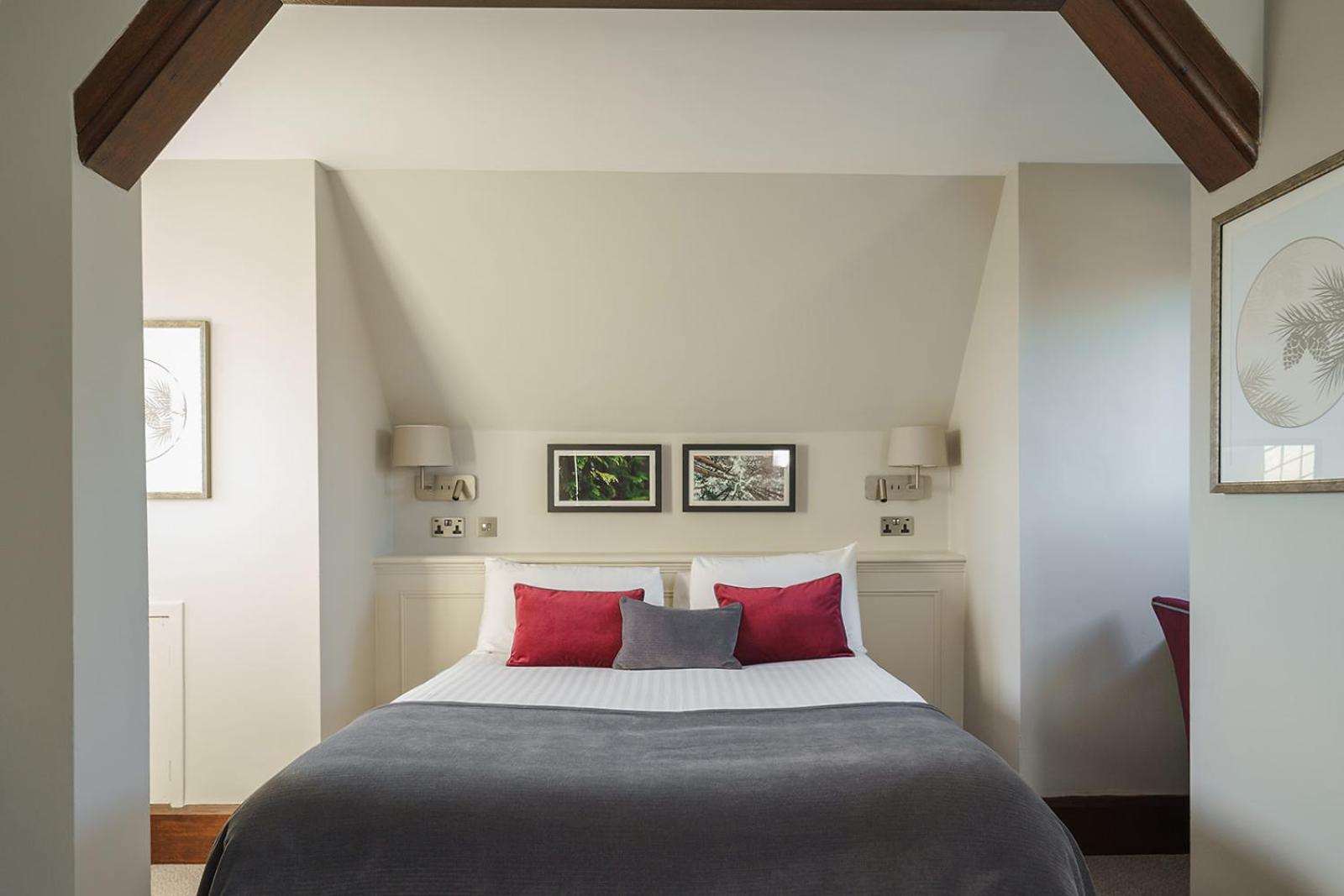 Main House Comfy Room photo 2