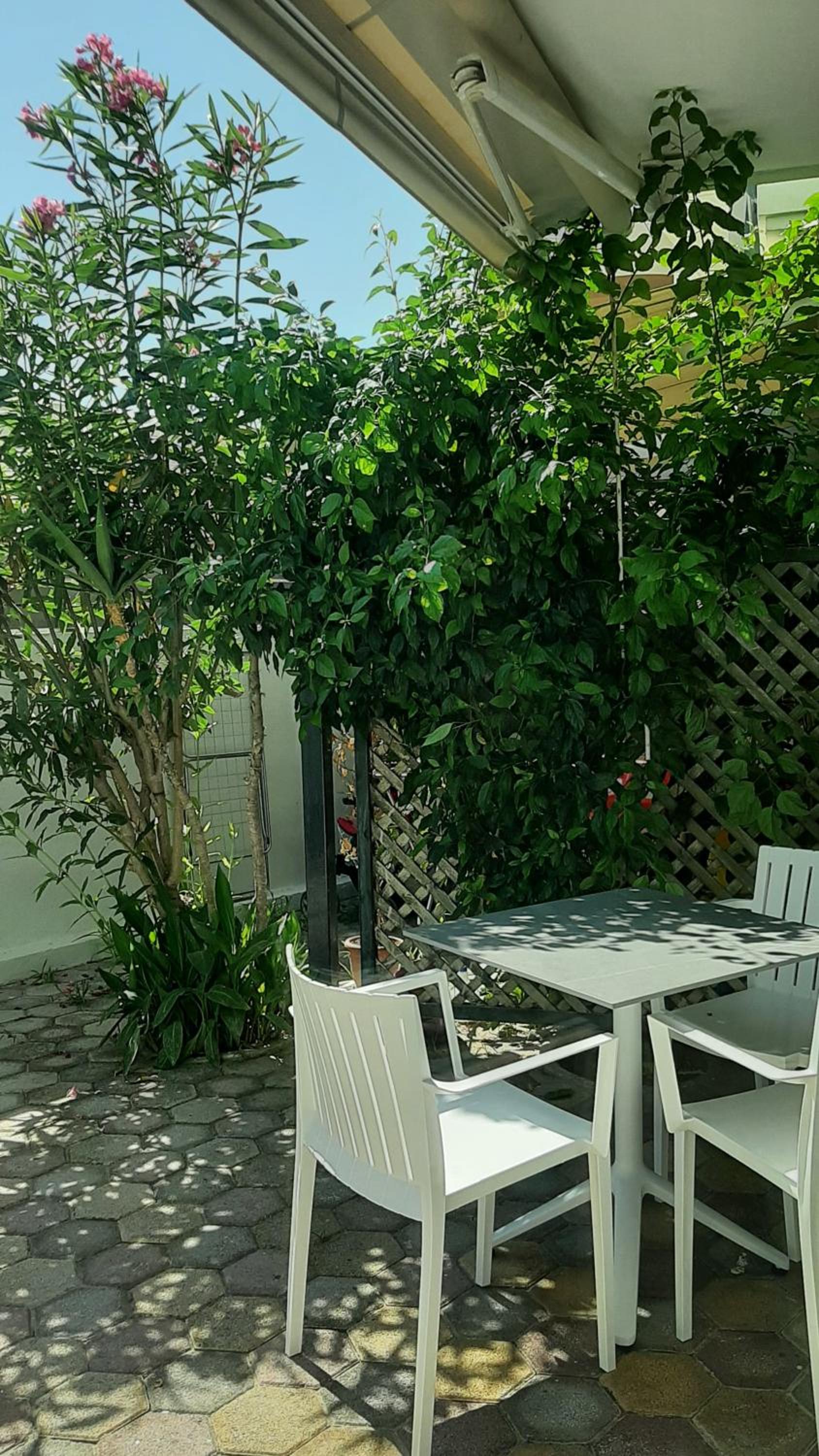 Studio with Patio - Photo 4